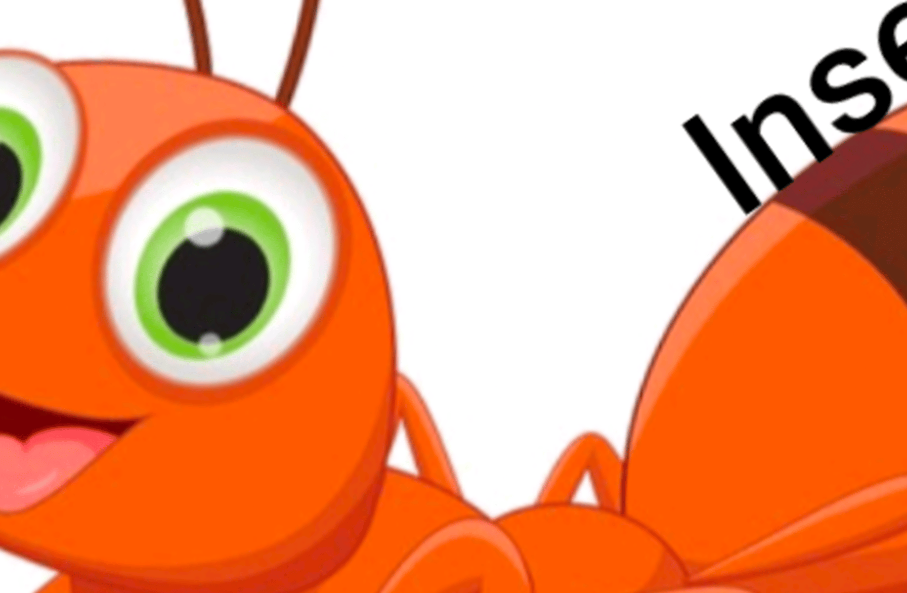 Ant