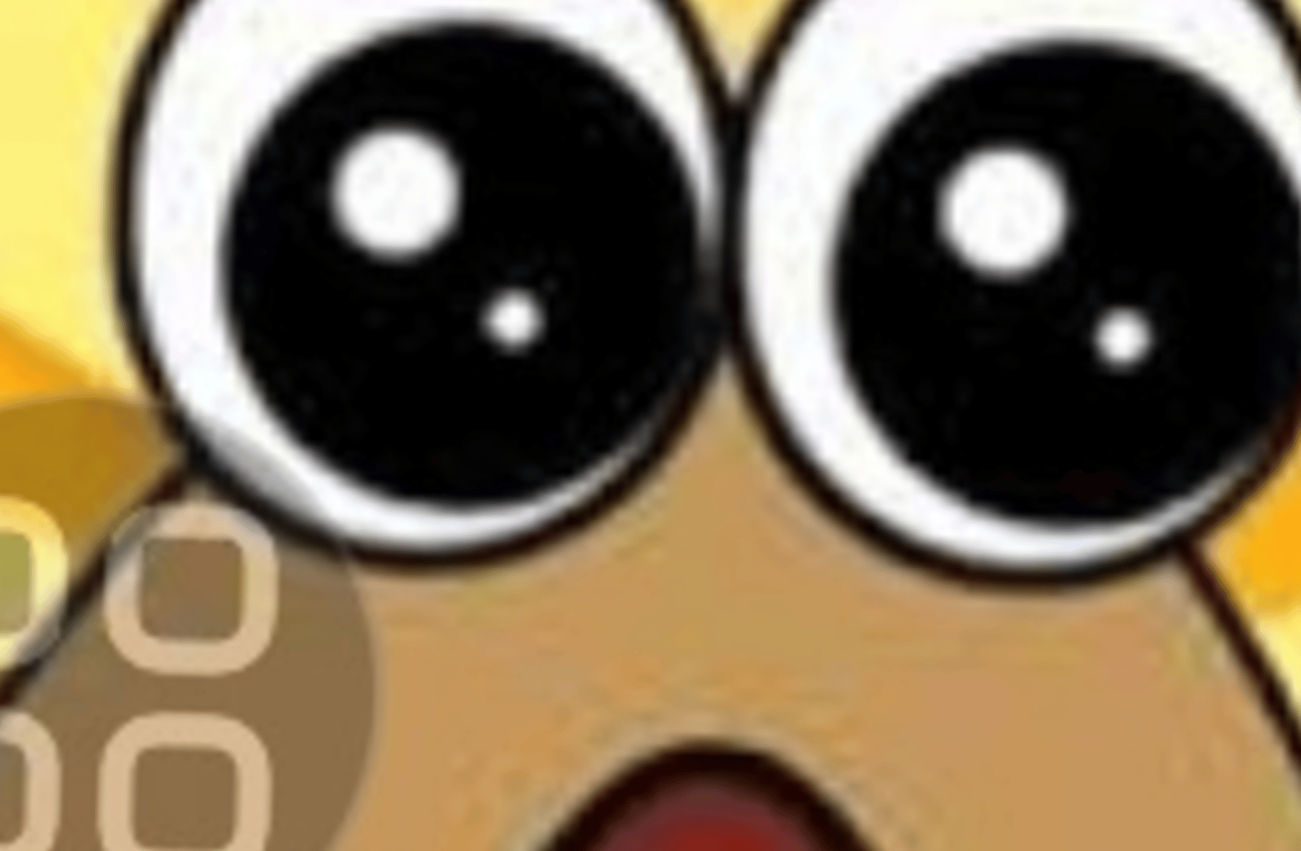 Pou