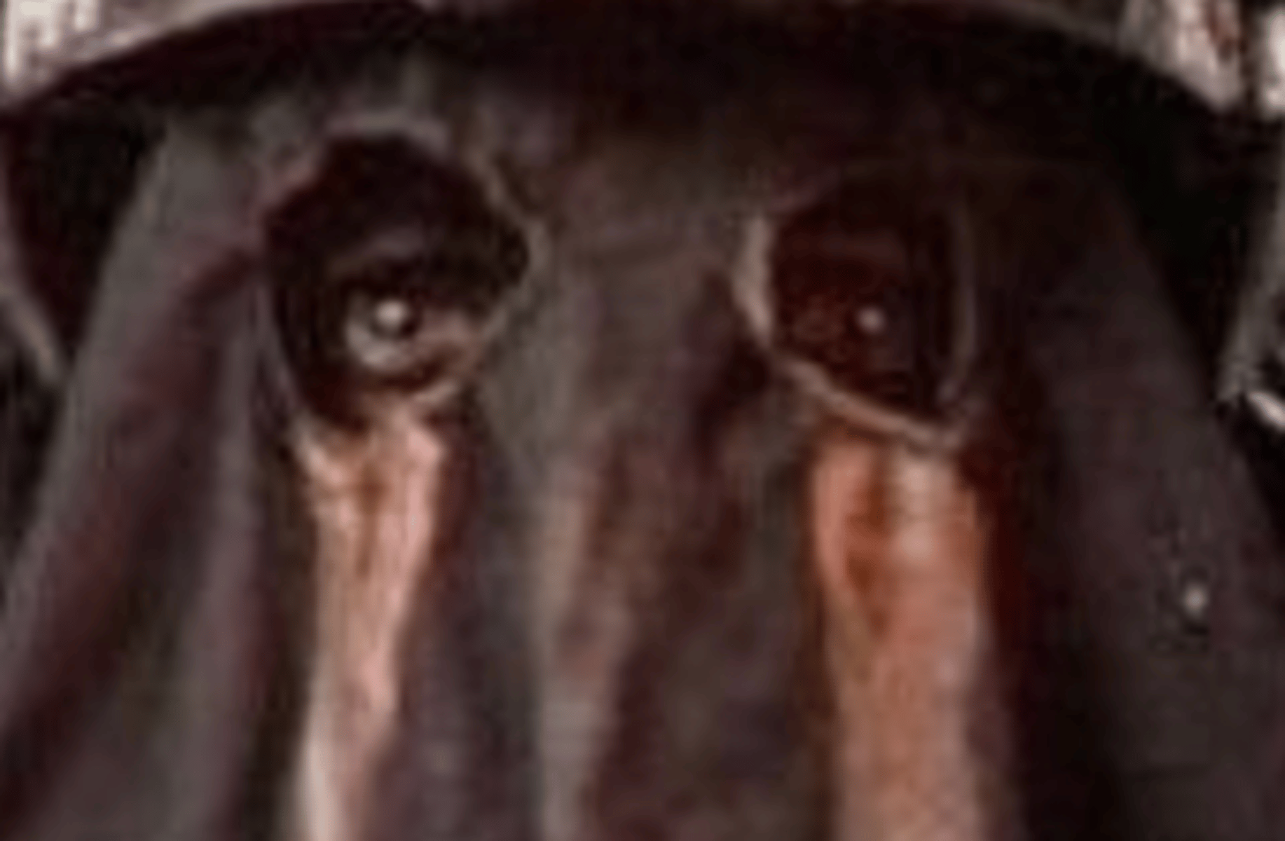 Konig