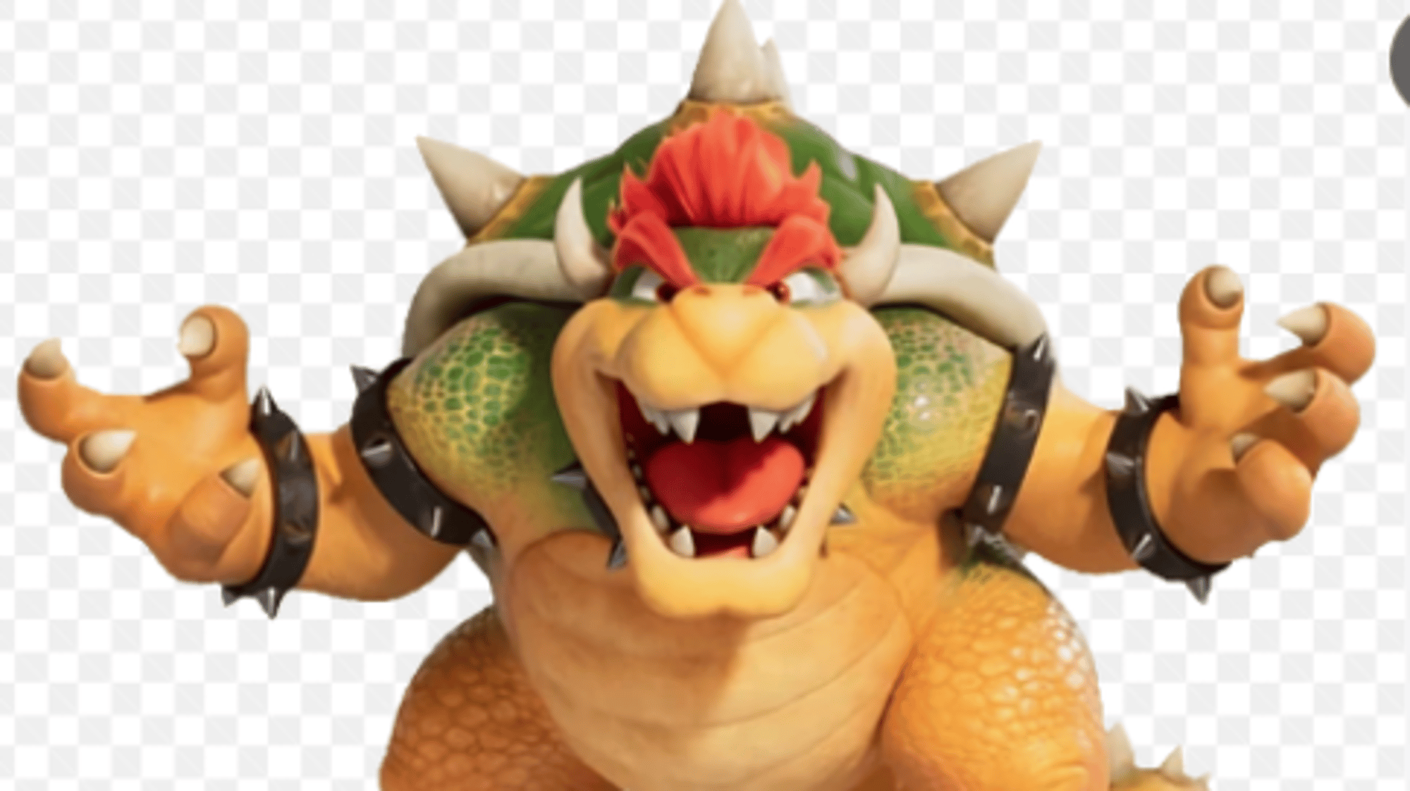 Bowser