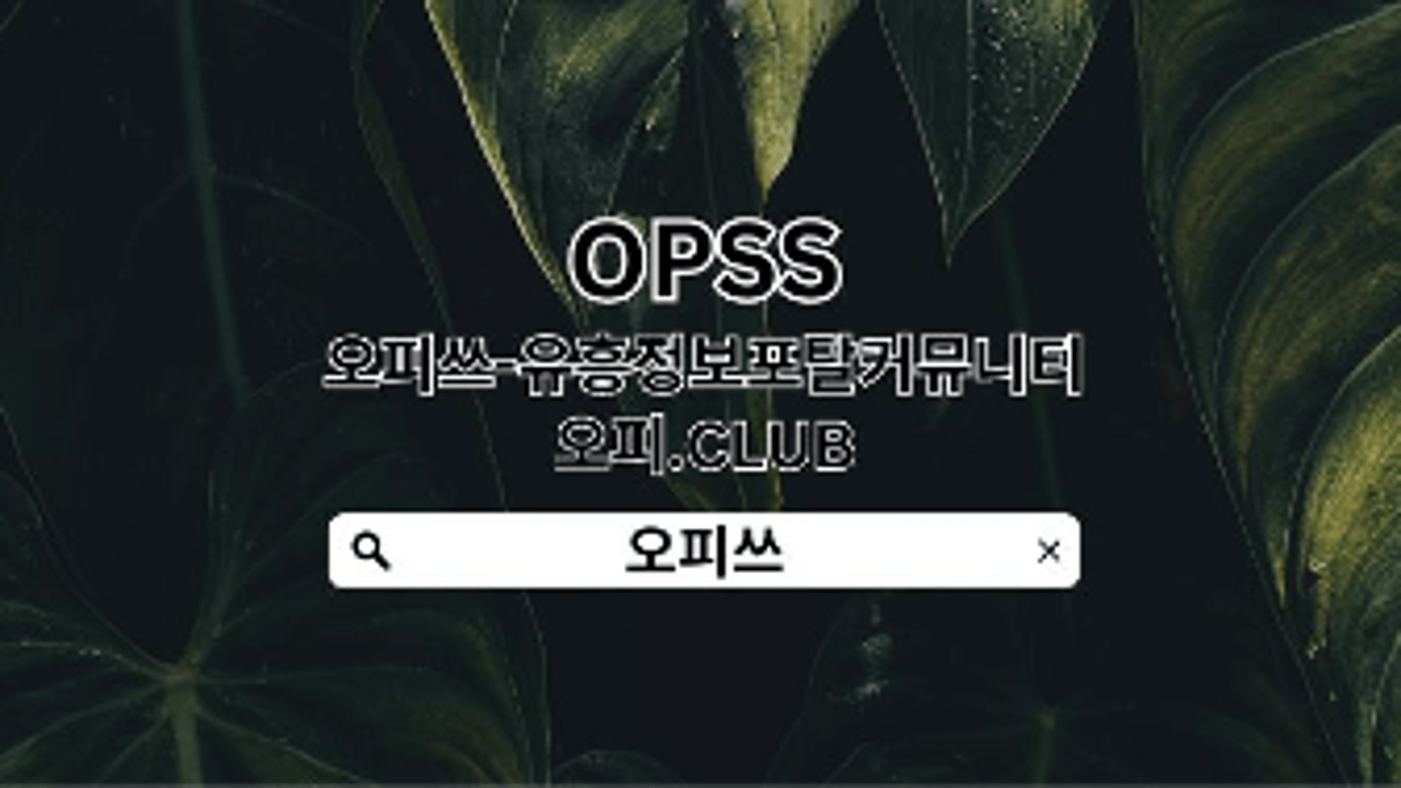 changdongop