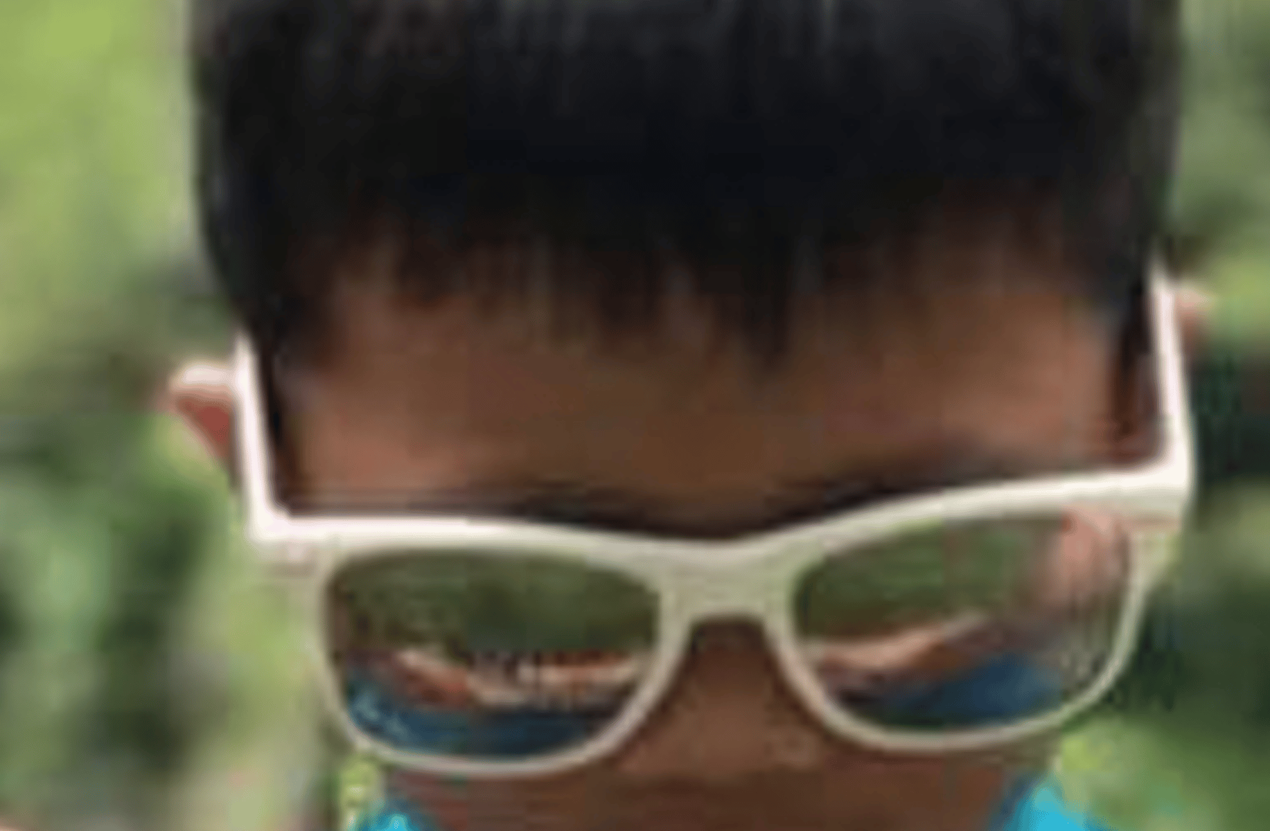 Xylem