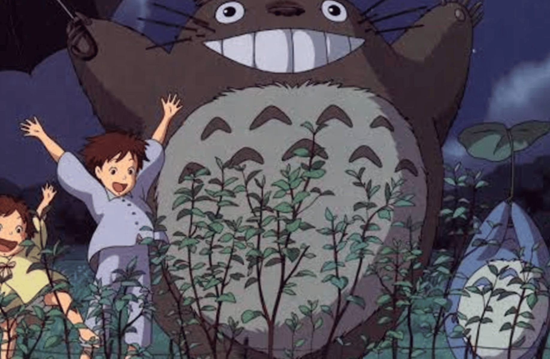 Totoro