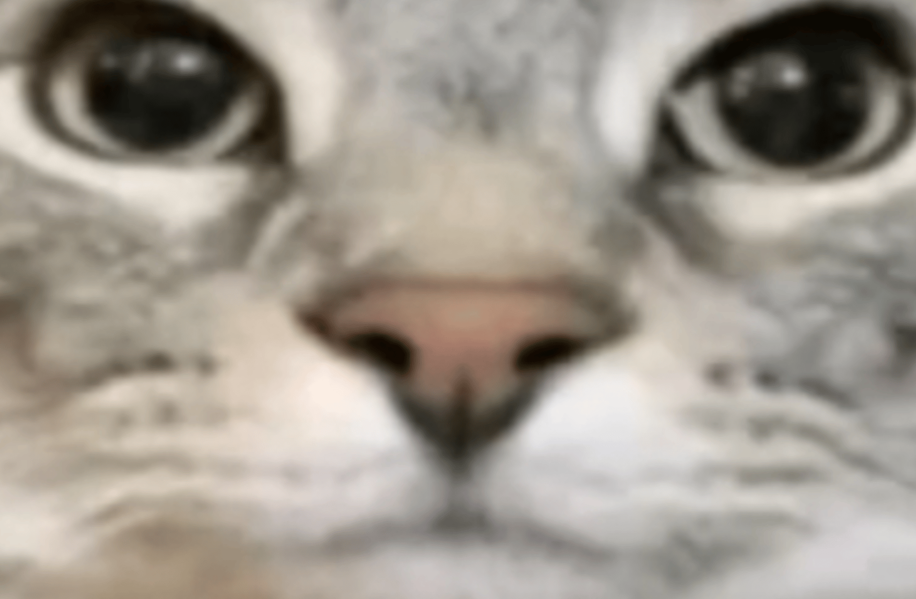 Bruder