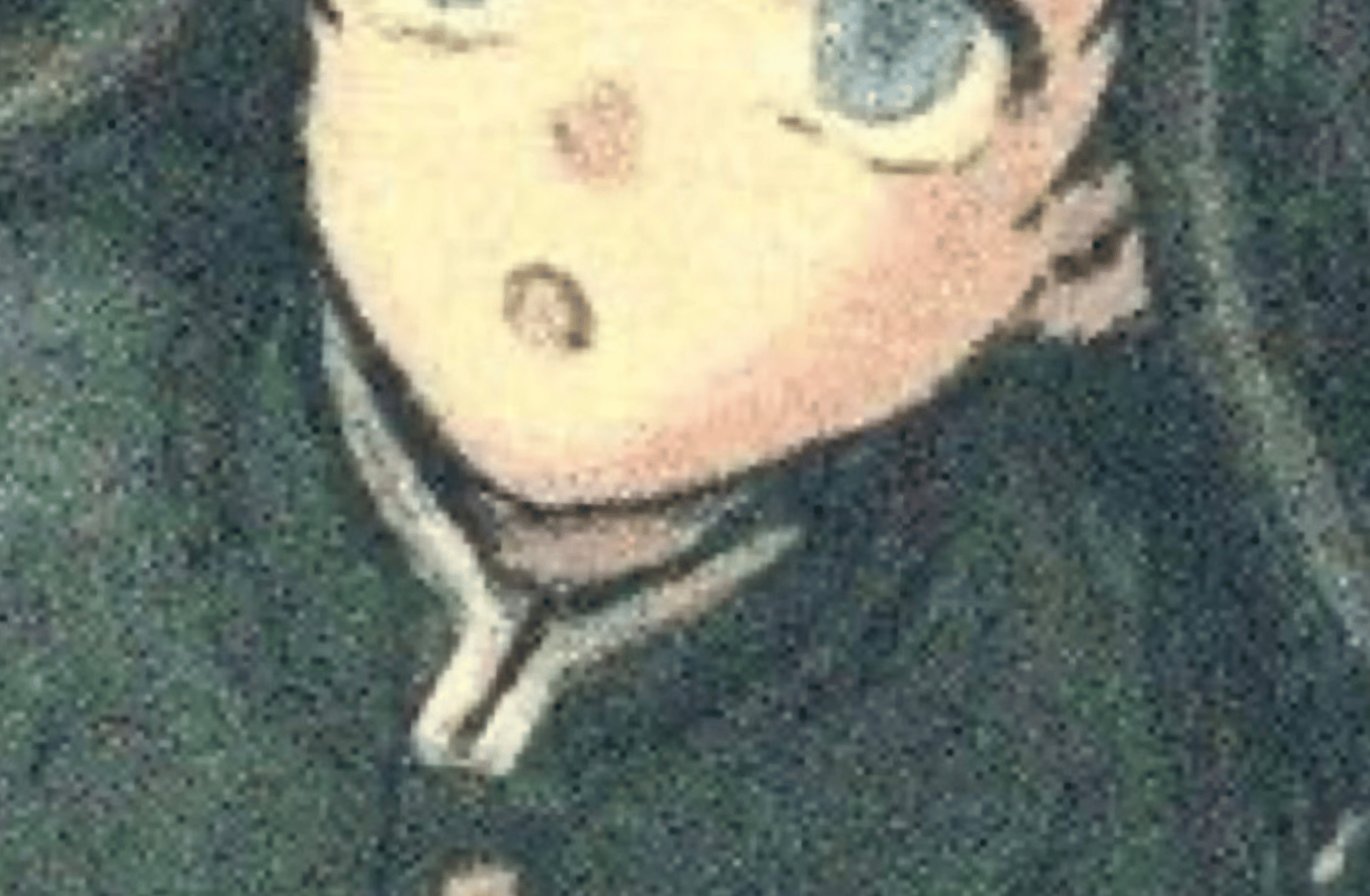 Muichiro Tokito
