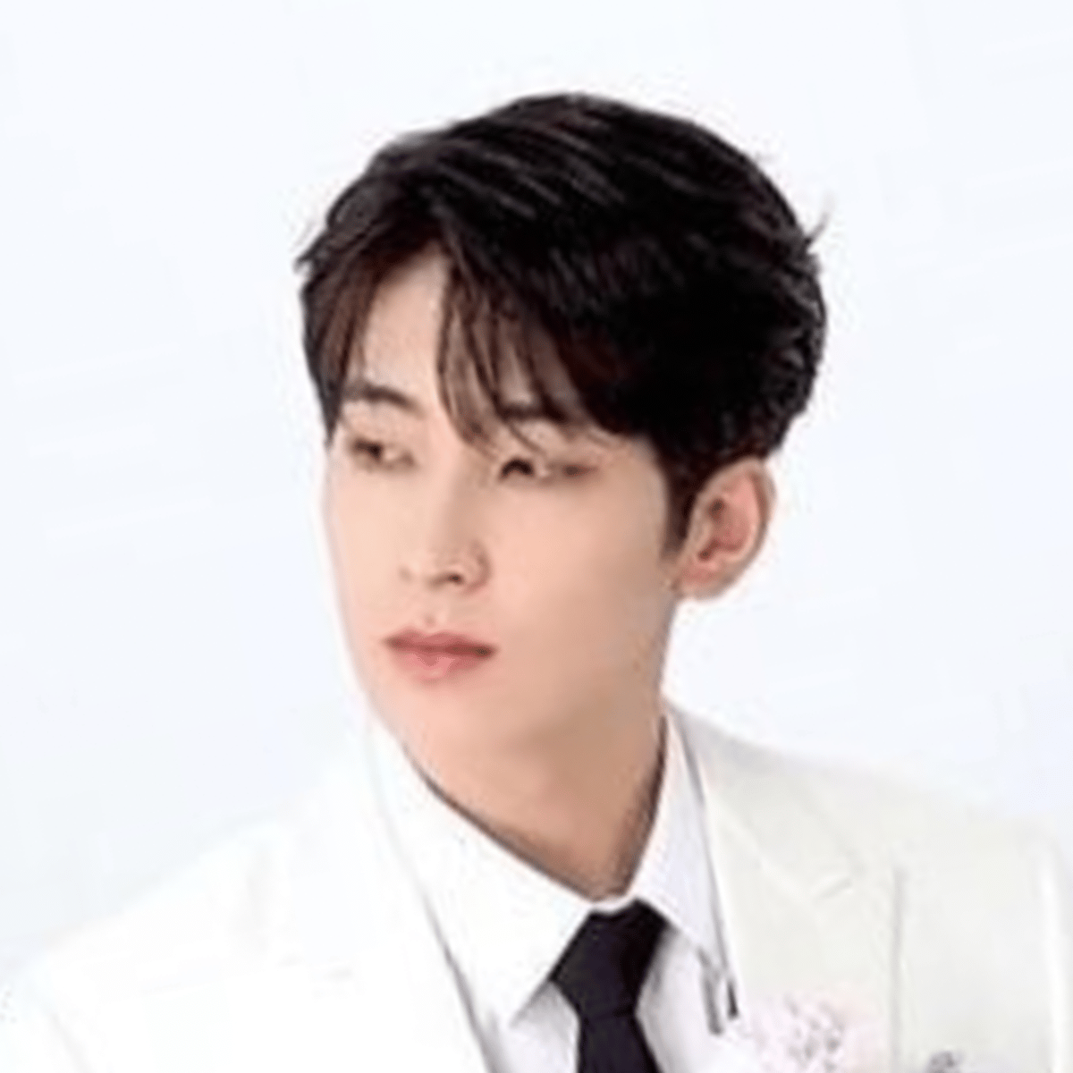 Wonwoo Jeon Dopple ai