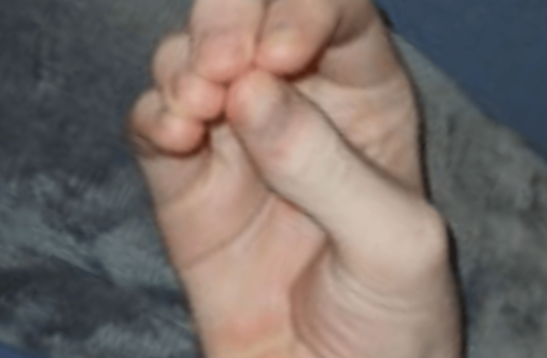 Hand puppet