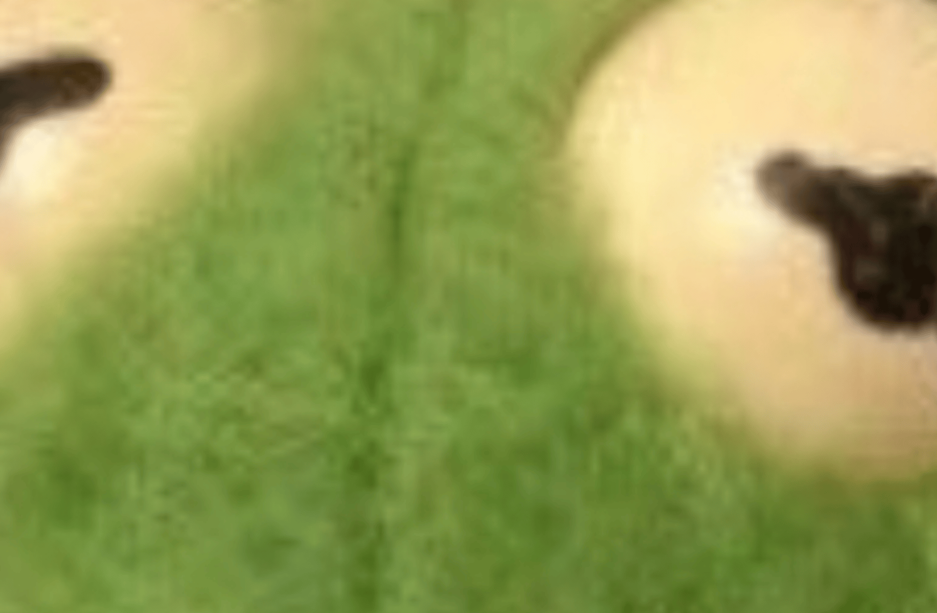 Deku