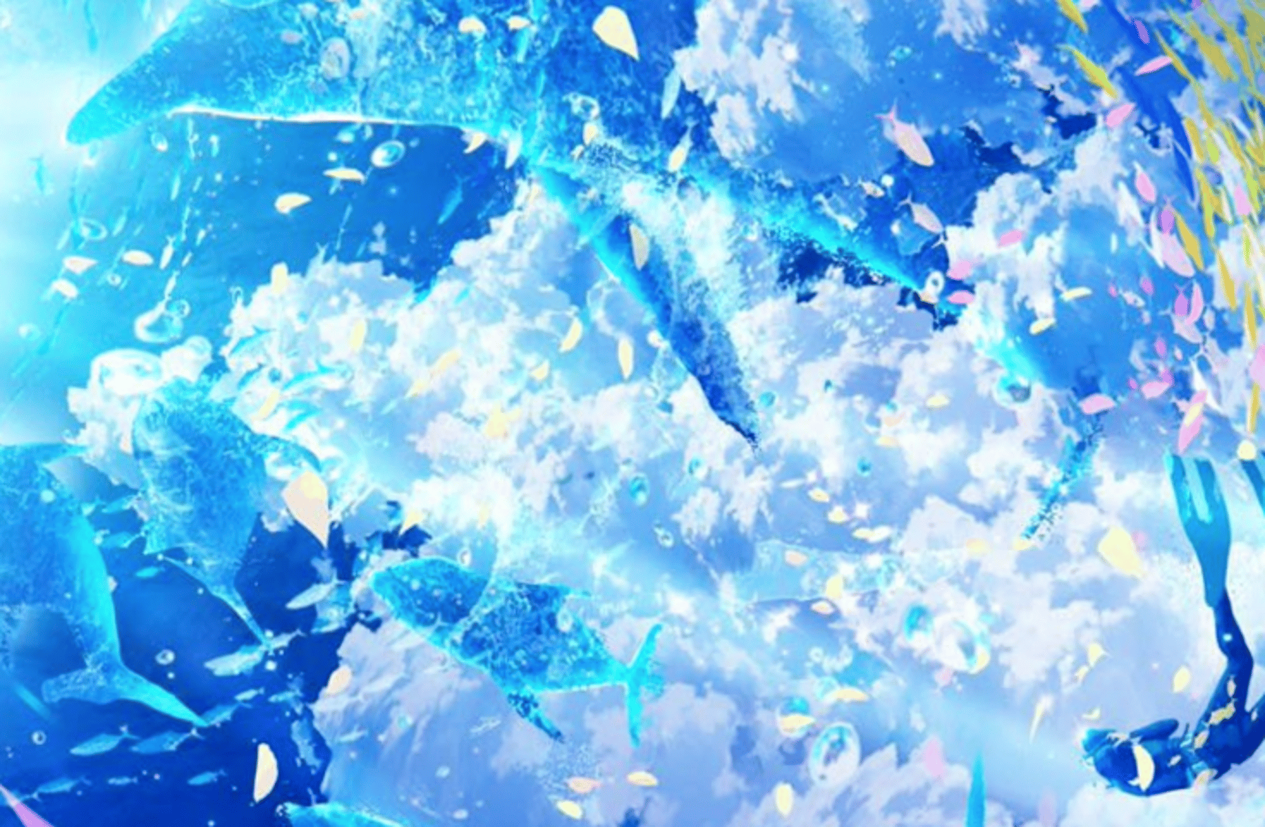 Mizzmokki Aqua