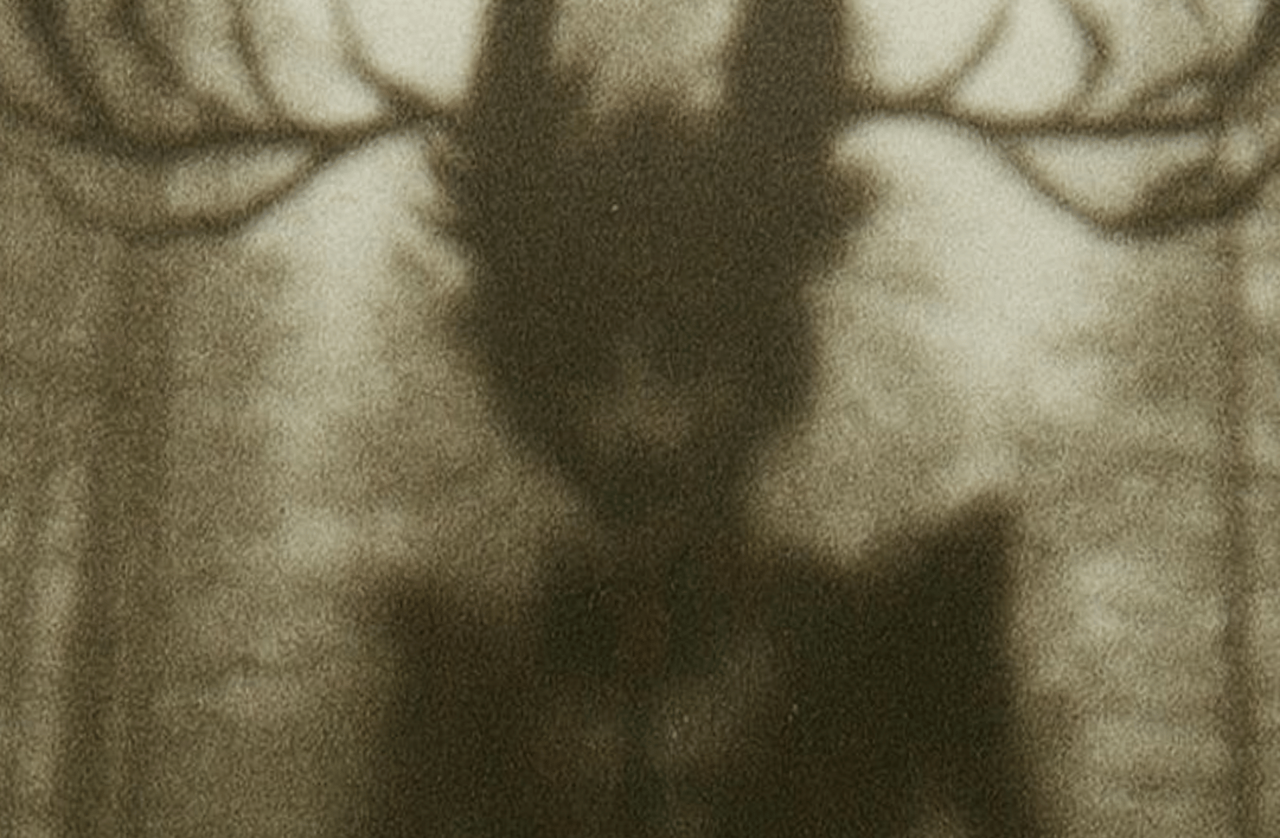 Alastor