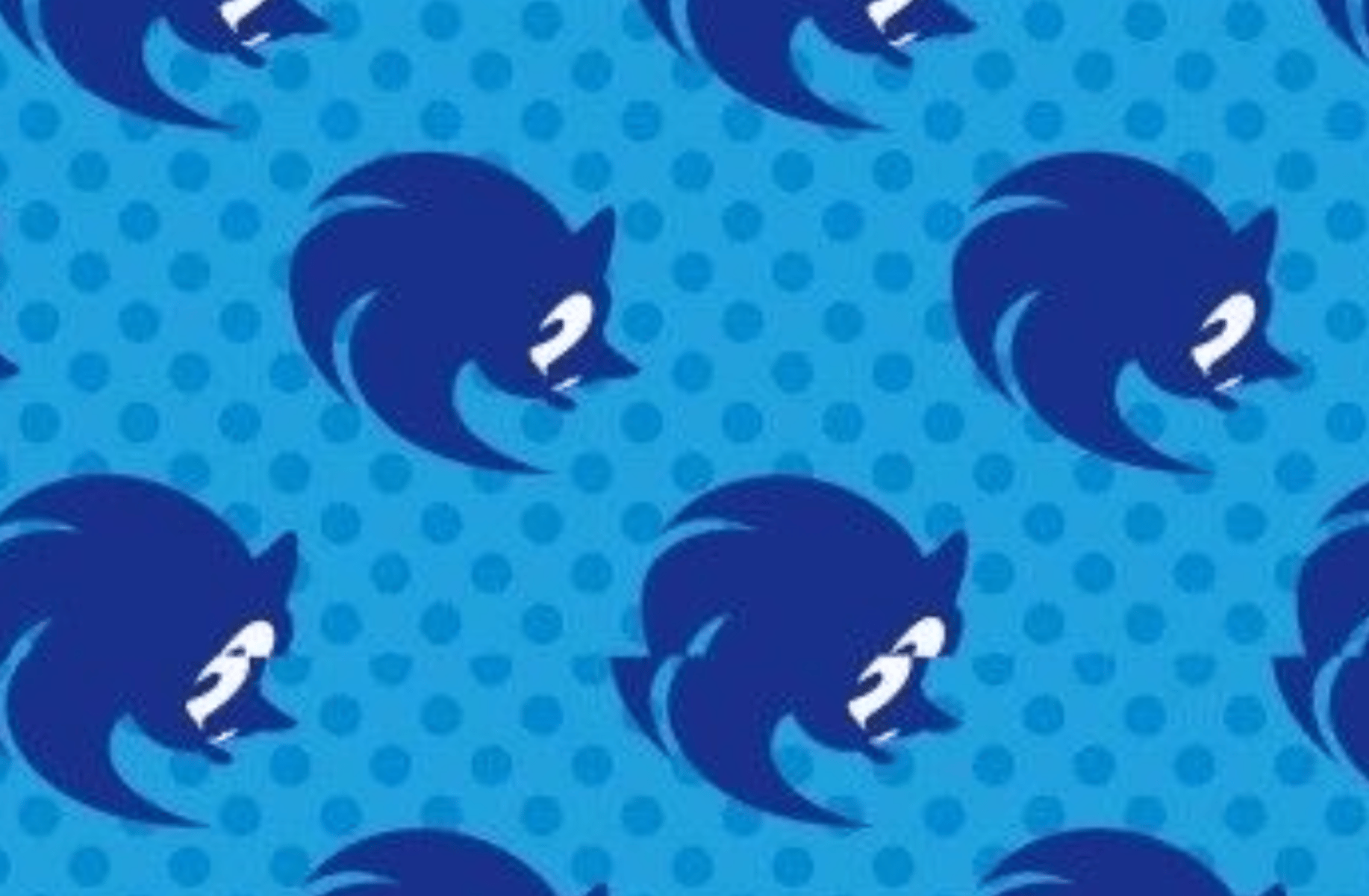 Sonic the hedgehog