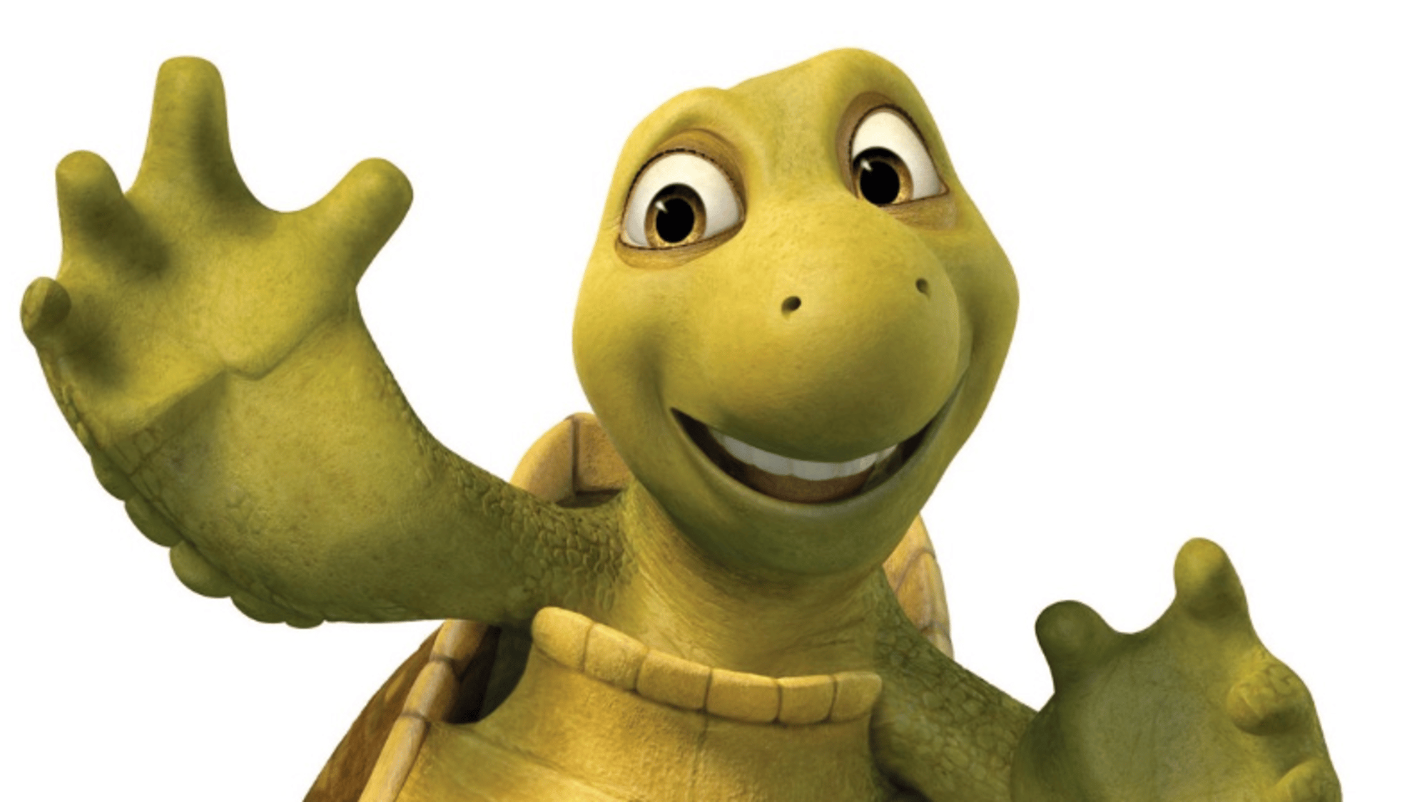 Verne The Turtle