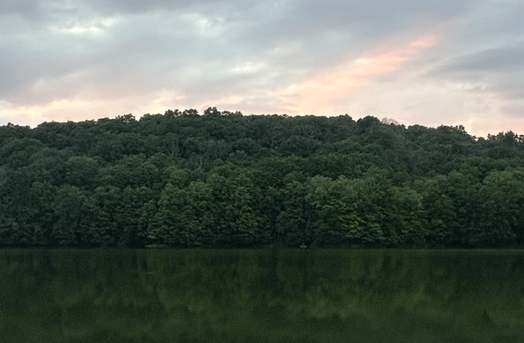 Tiny human