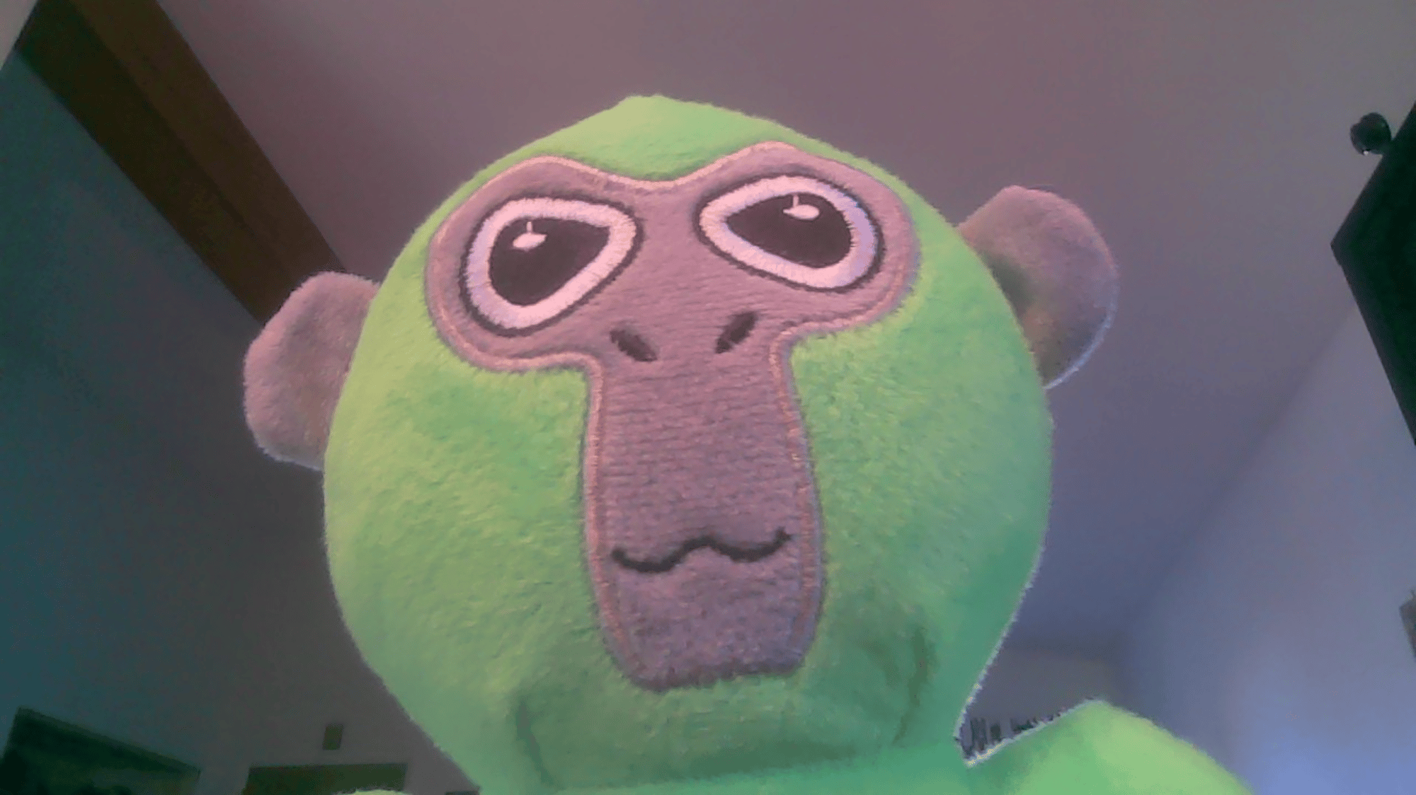 my gtag plush