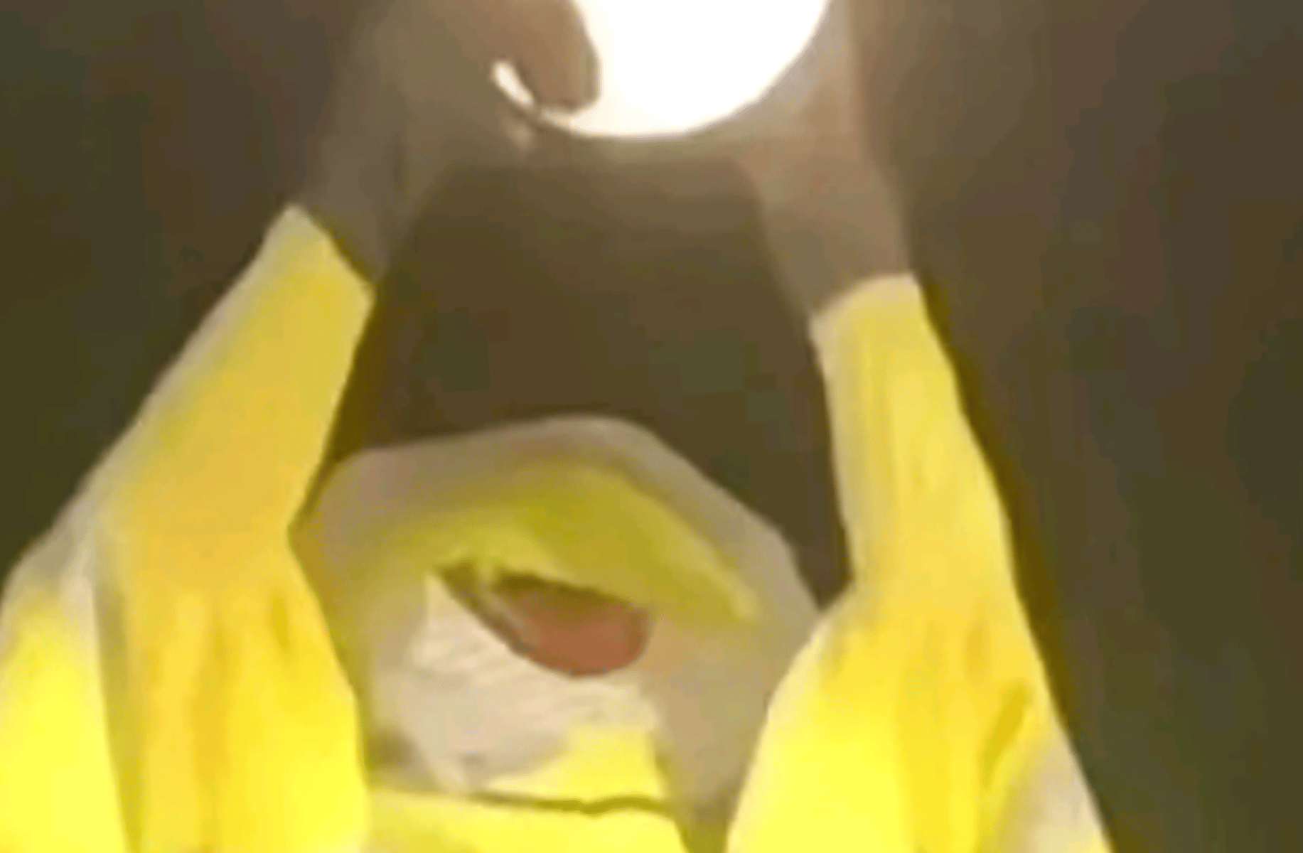 Minions