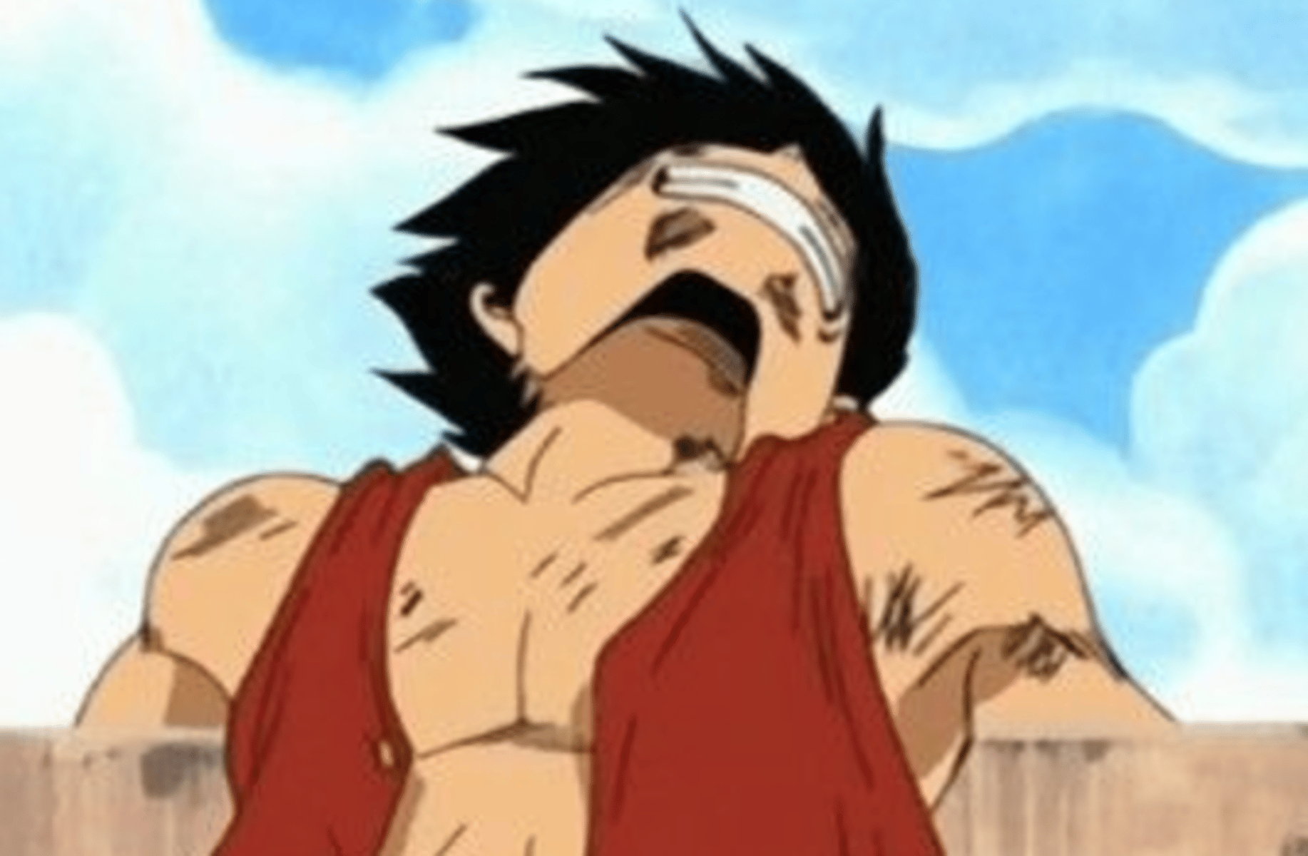 Monkey D Luffy