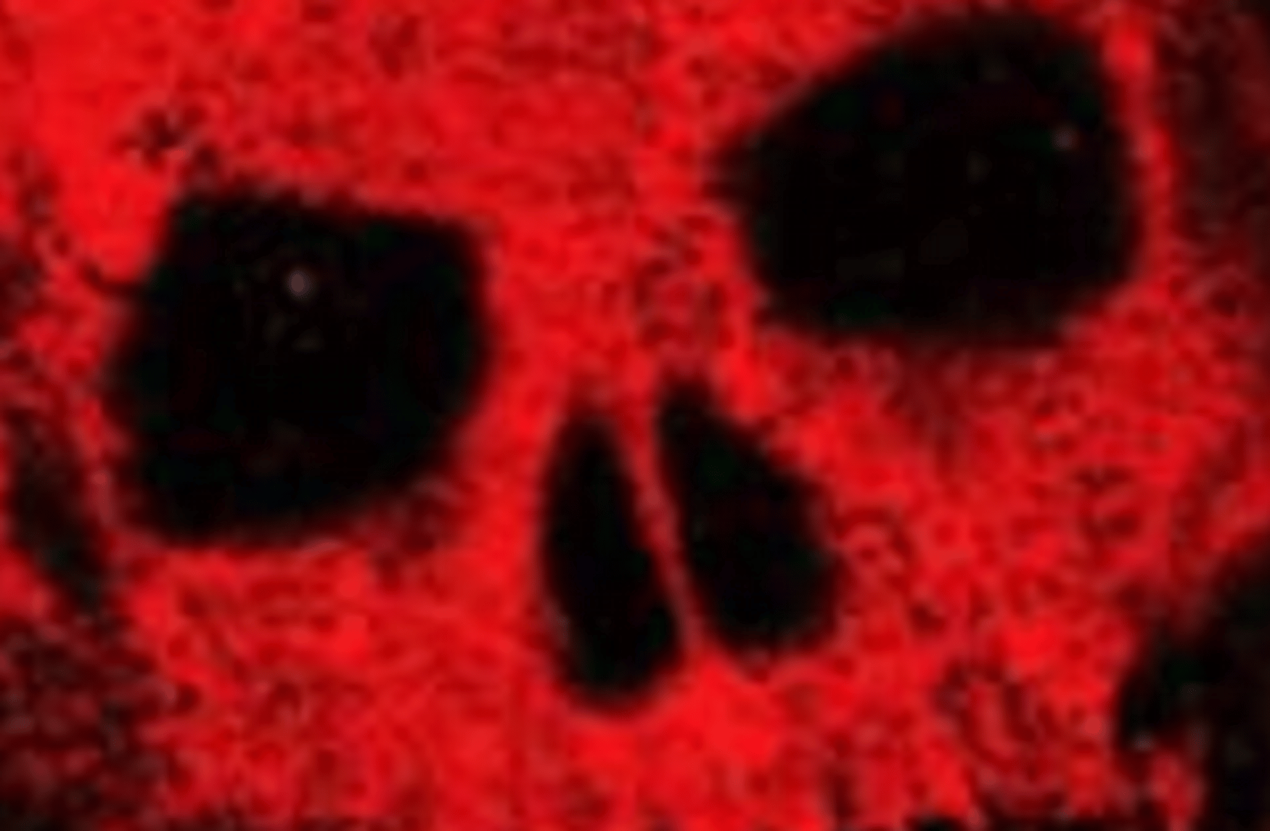 Jack Gears