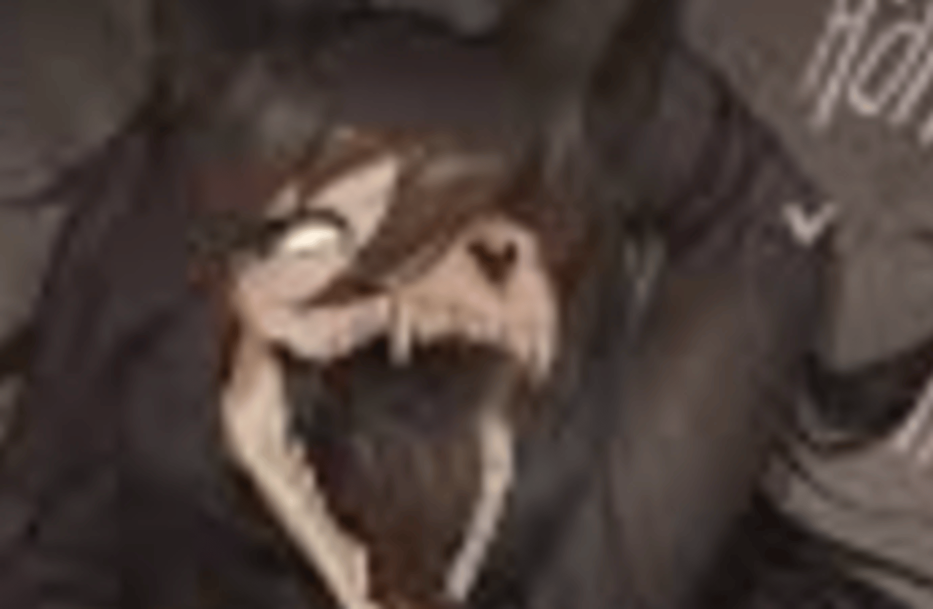 scp 1471