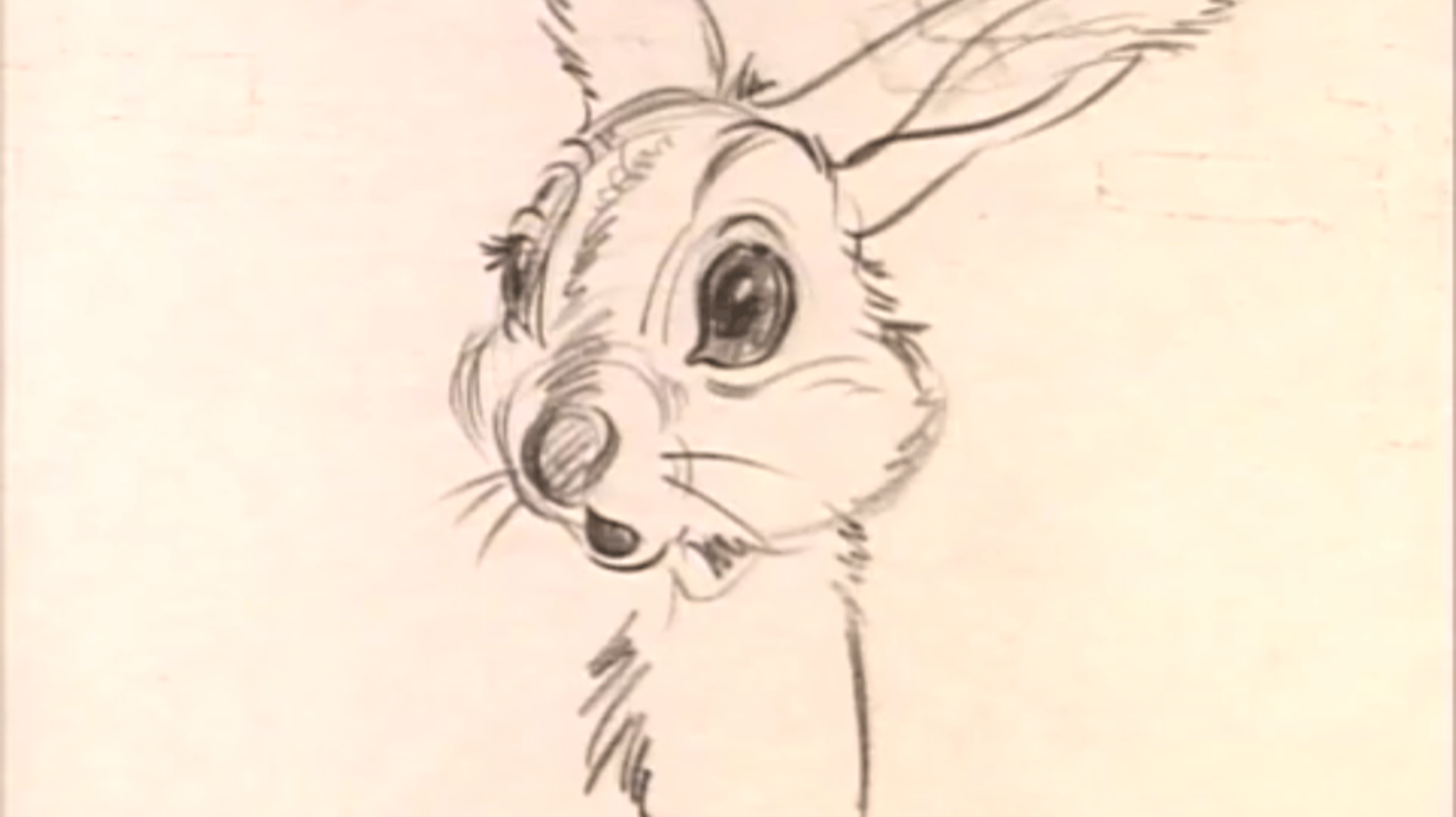 Bambi