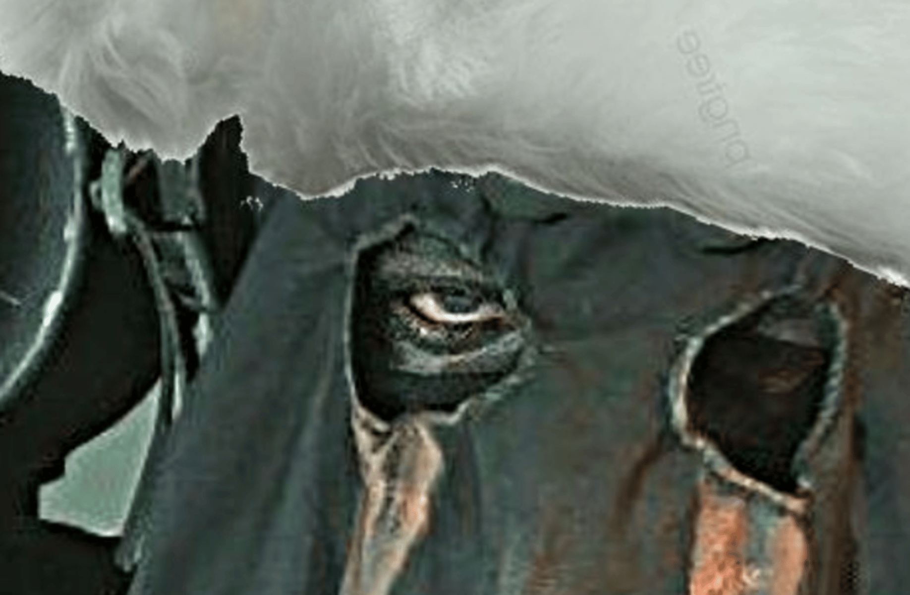 Konig