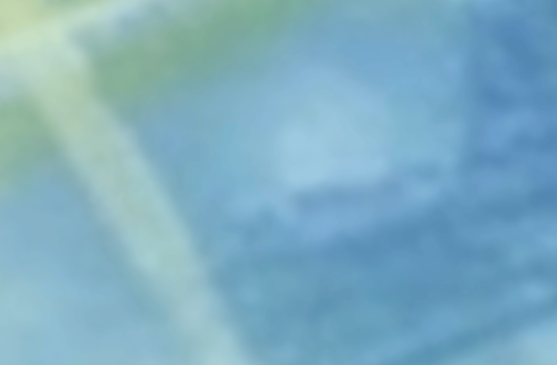 Usui