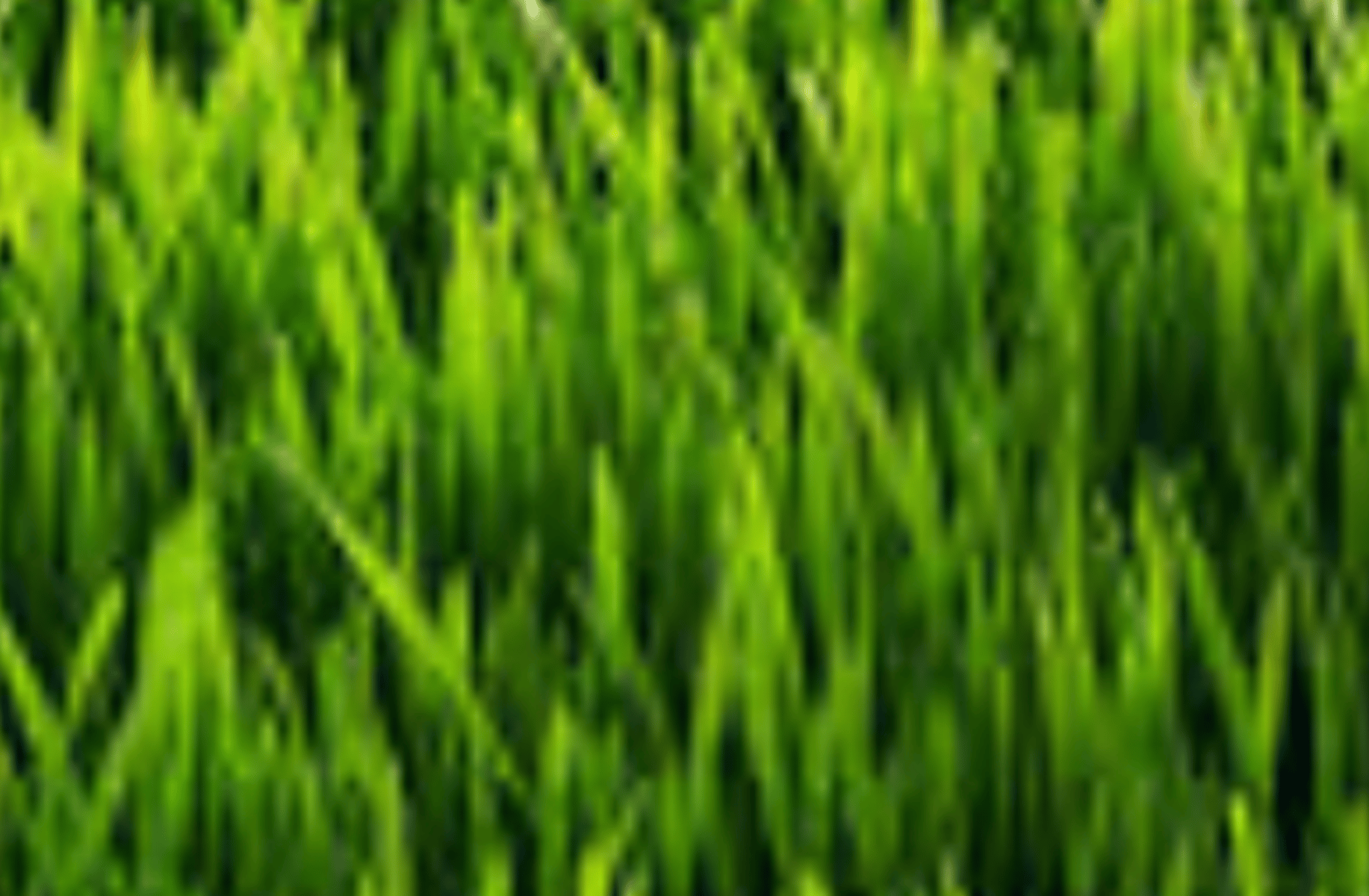 TalkWithGrass!