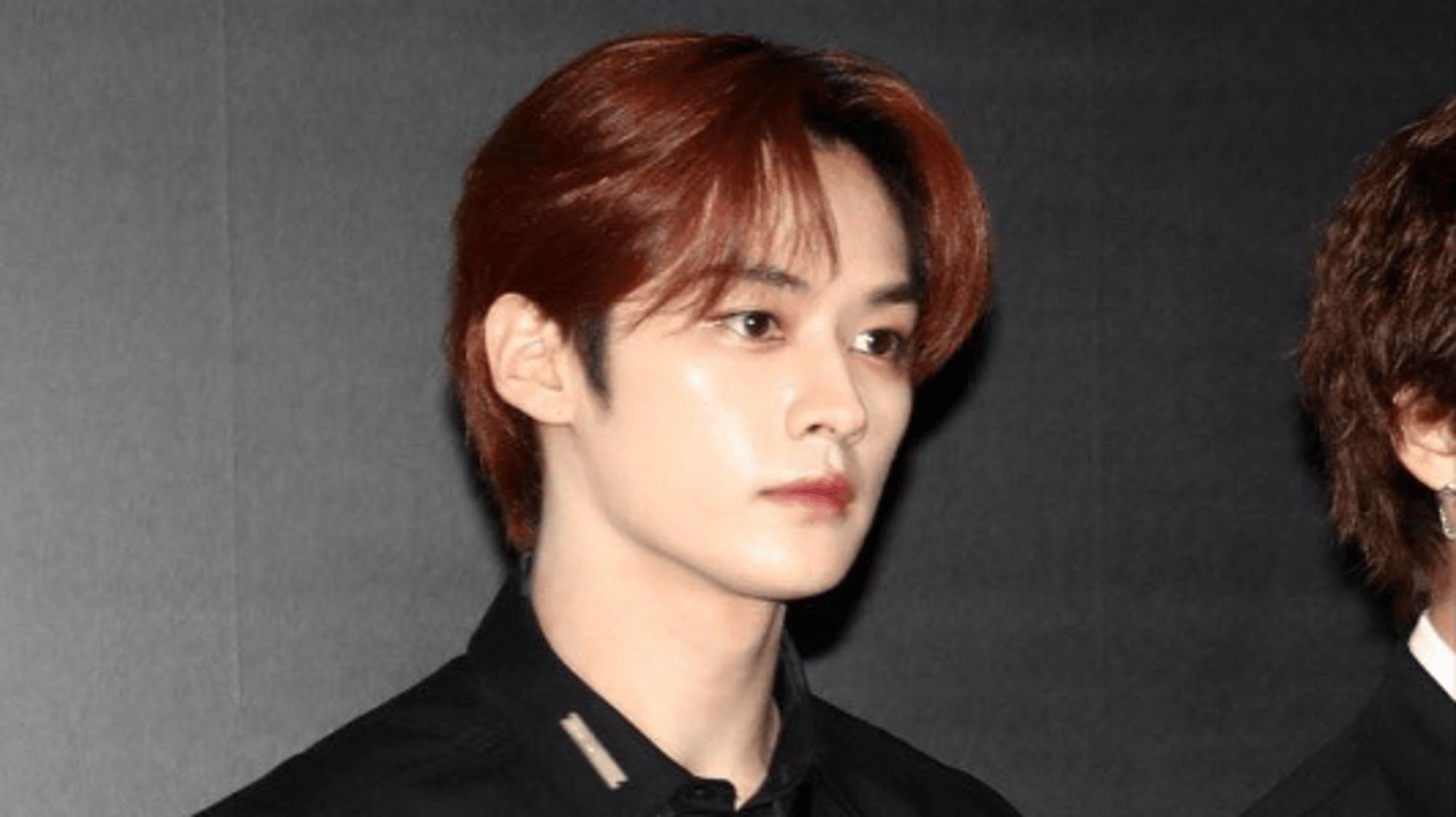 Lee minho MAFIA