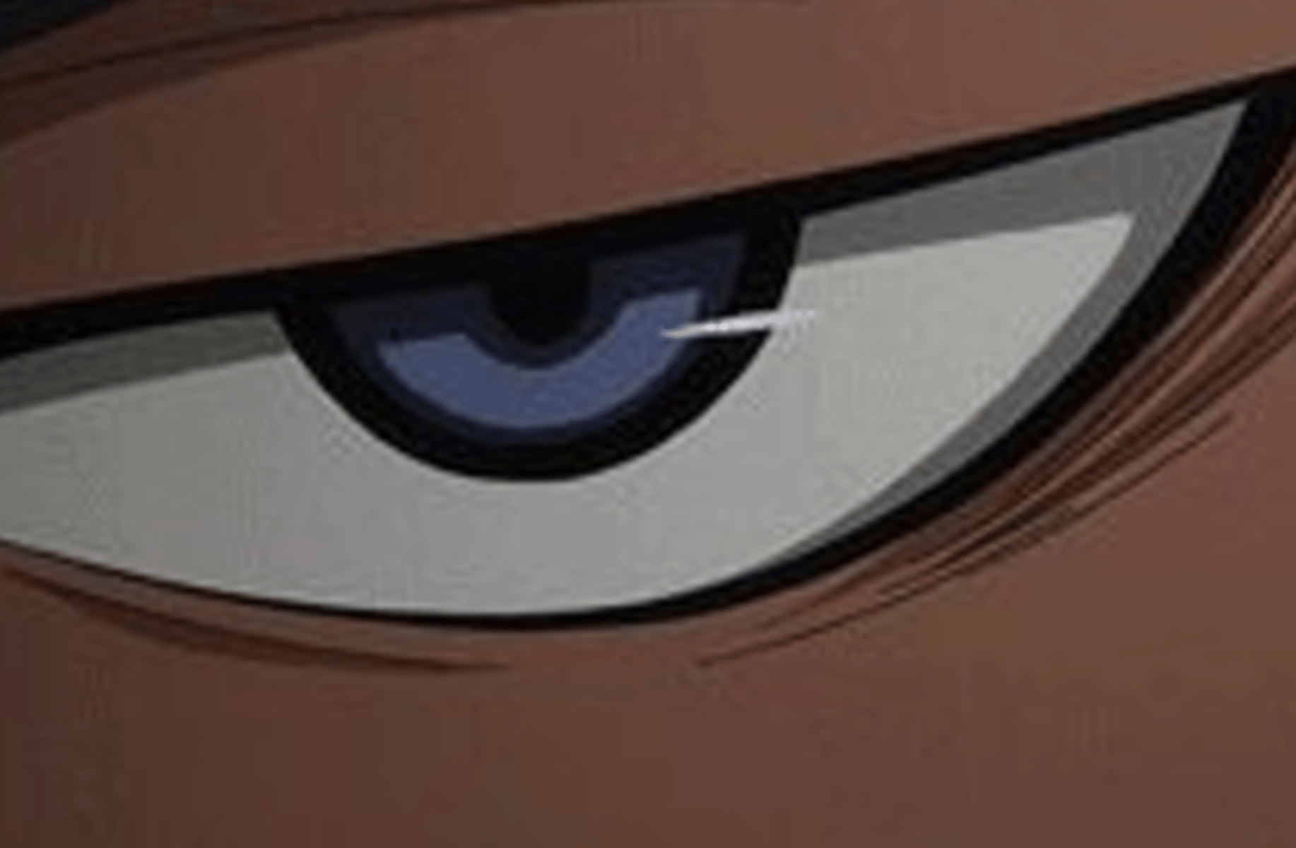 Kazu kibushi