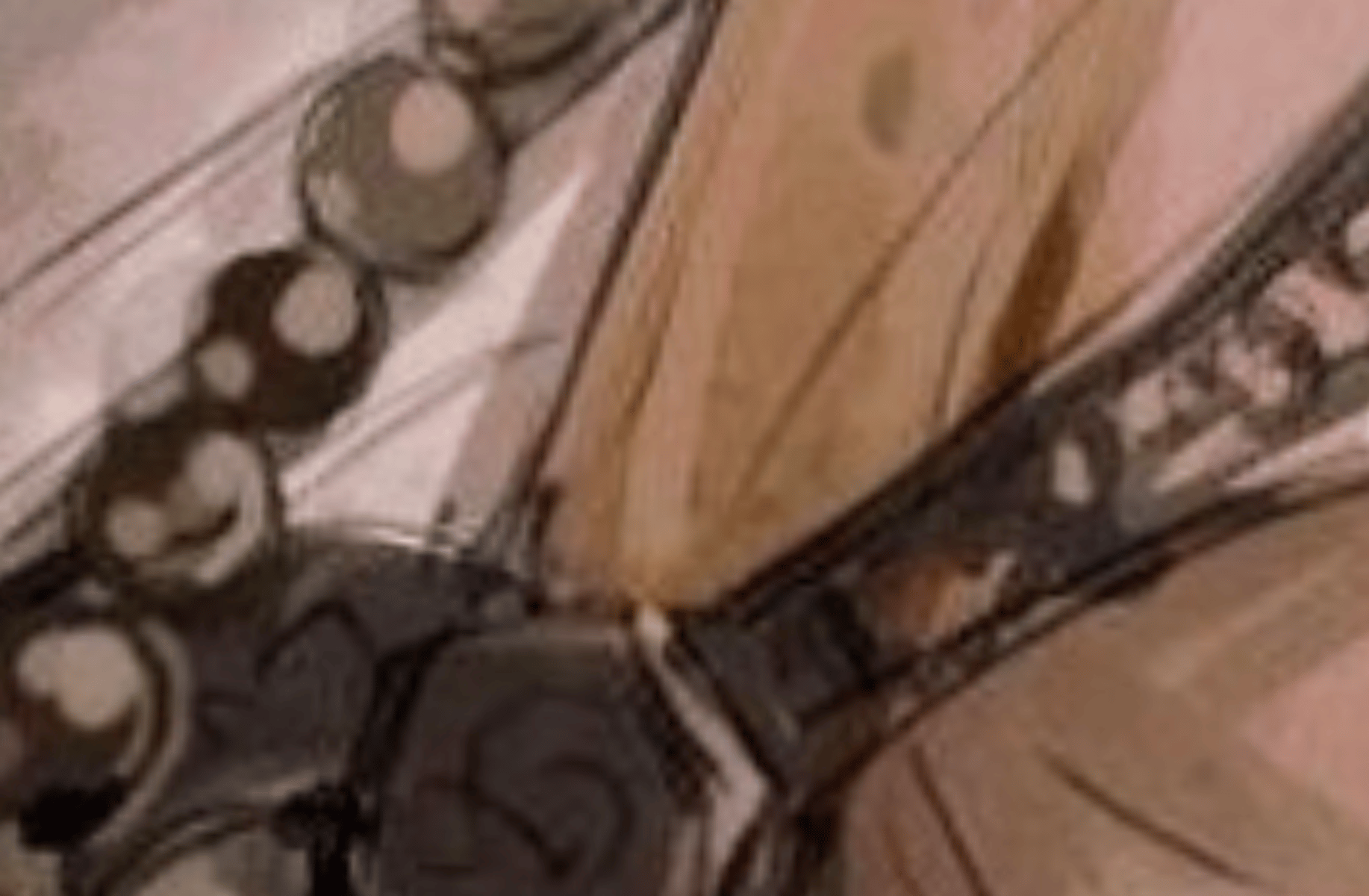 Ryomen sukuna