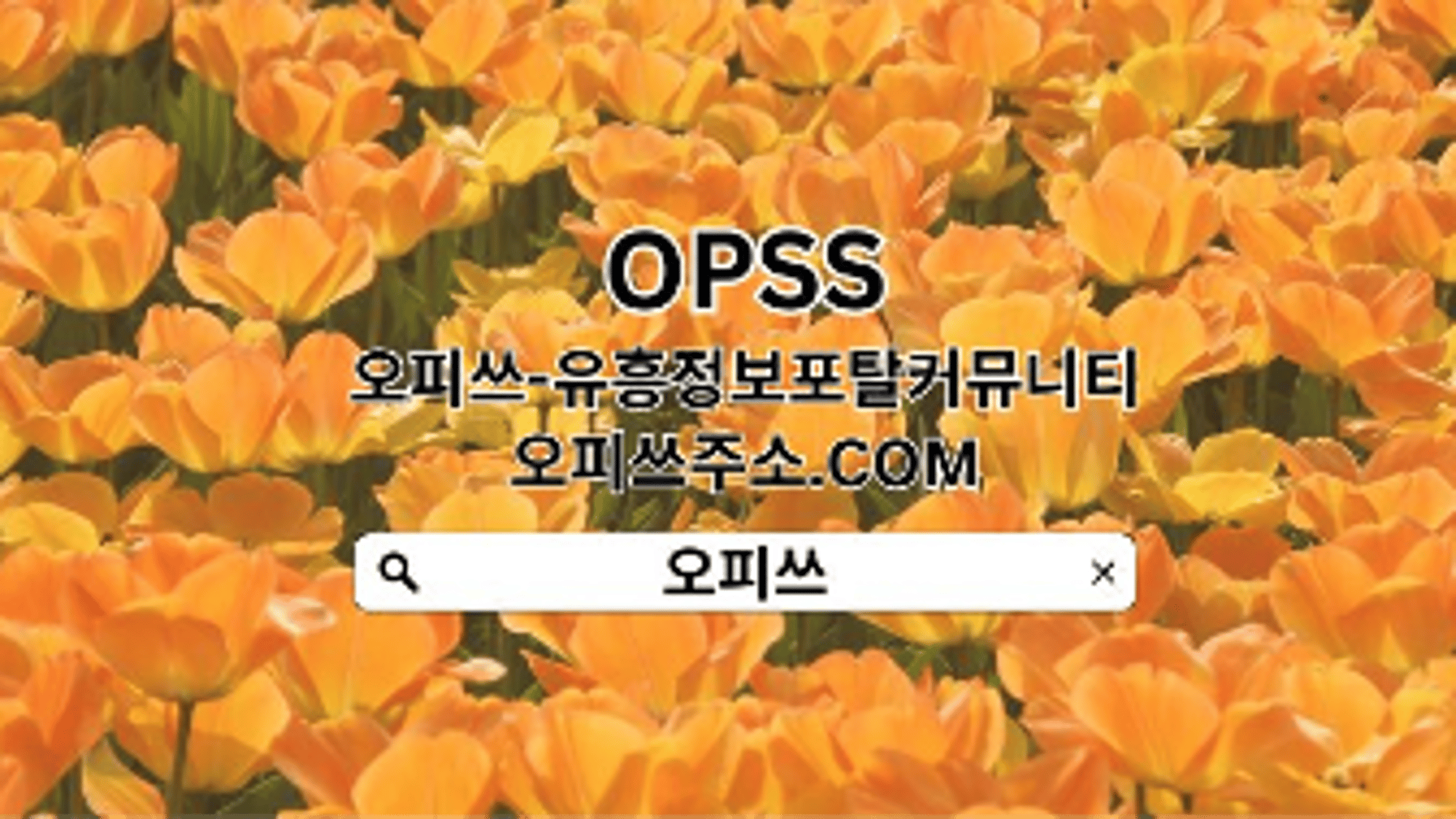 nowonop