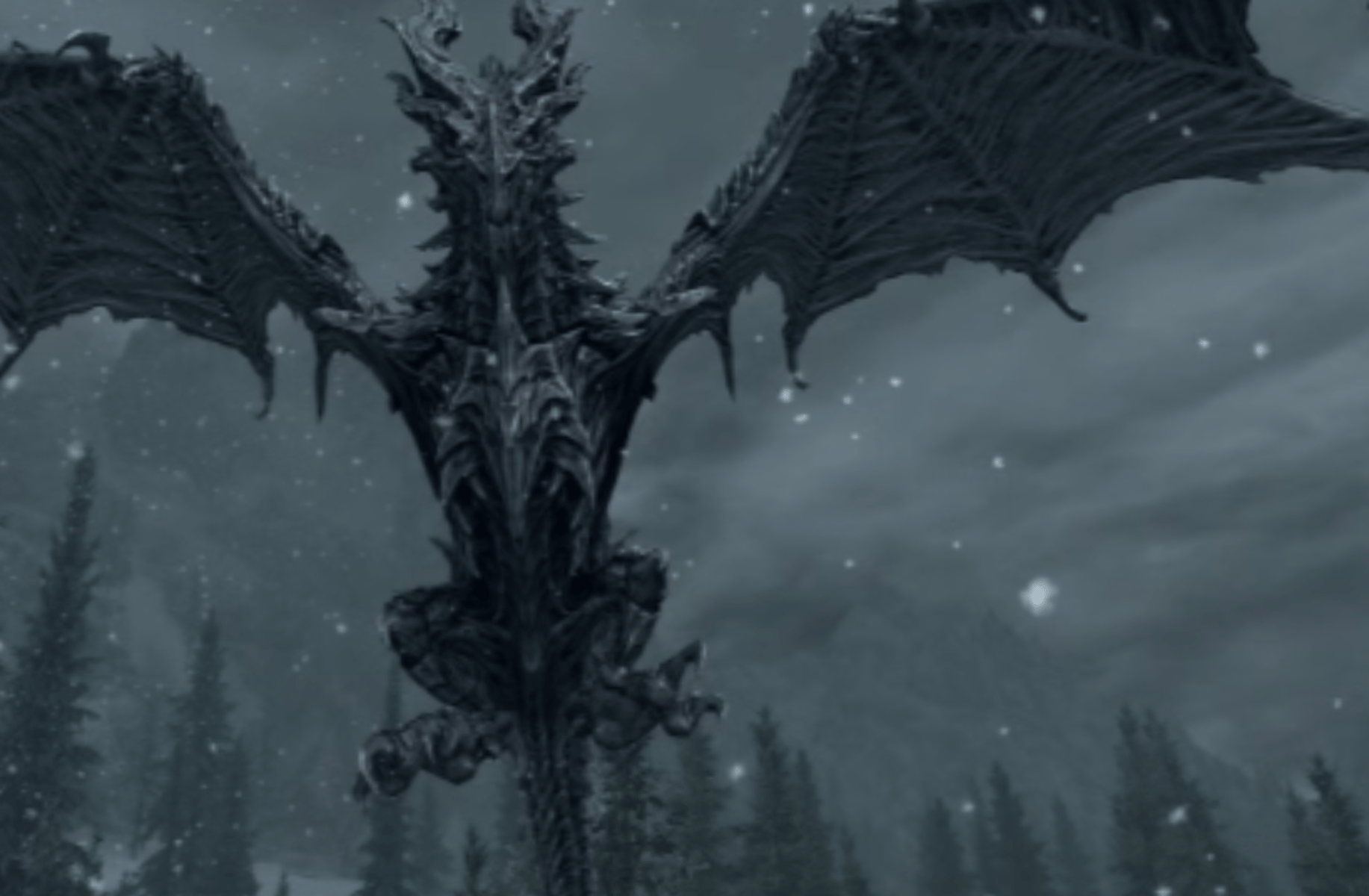 Jase the dragon