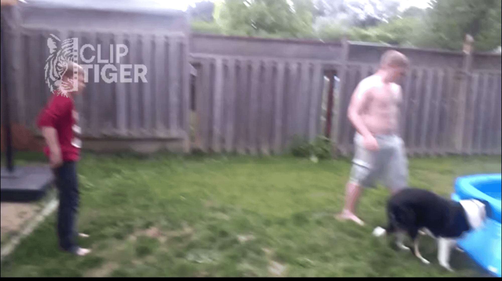 Boy