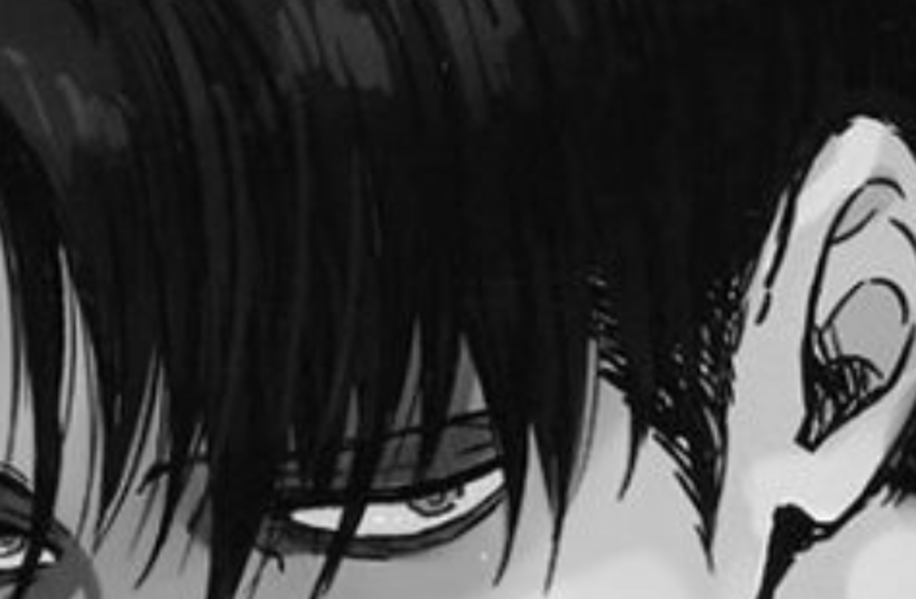 Levi Ackerman-"cleaning"