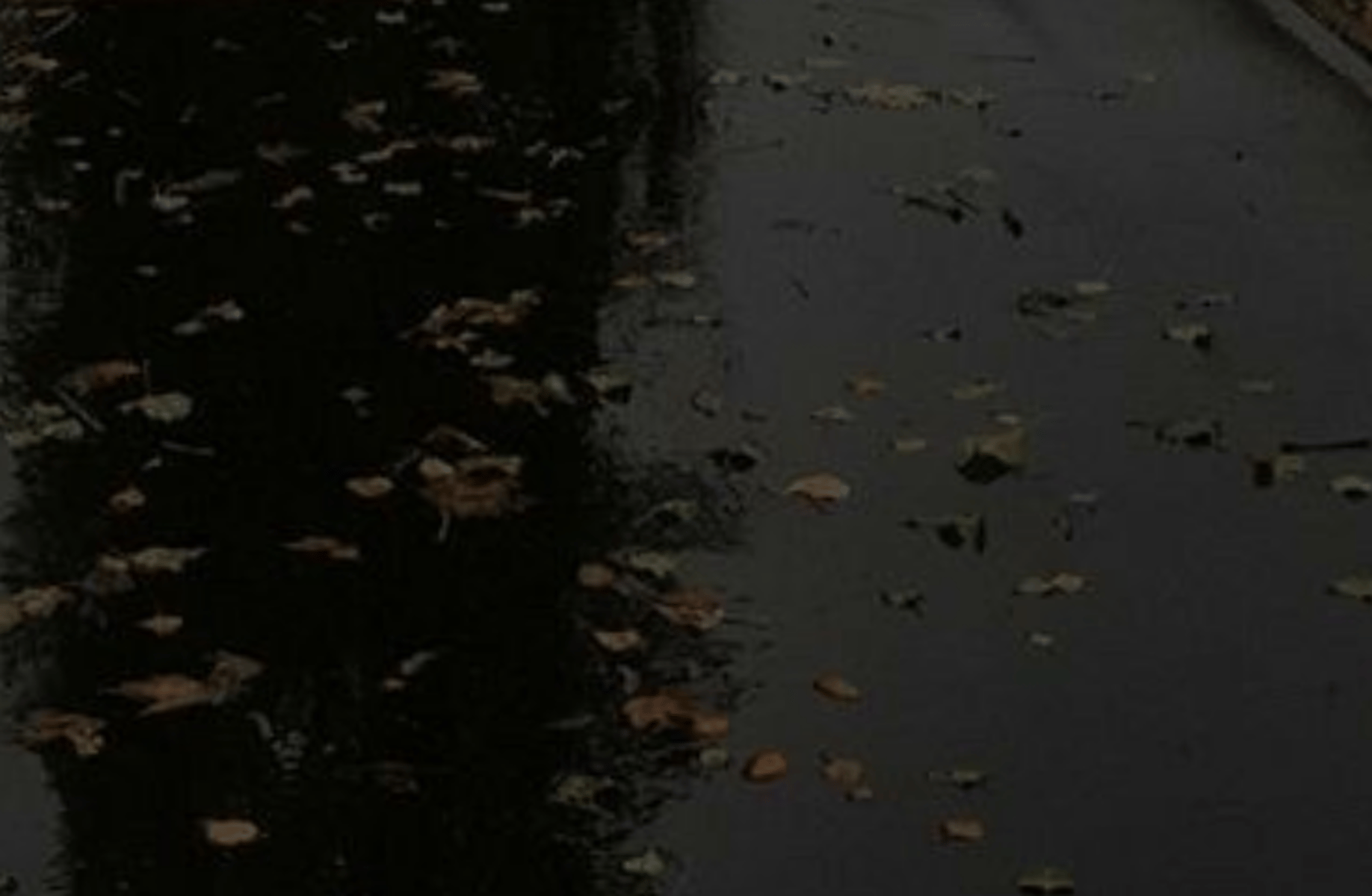 Vent