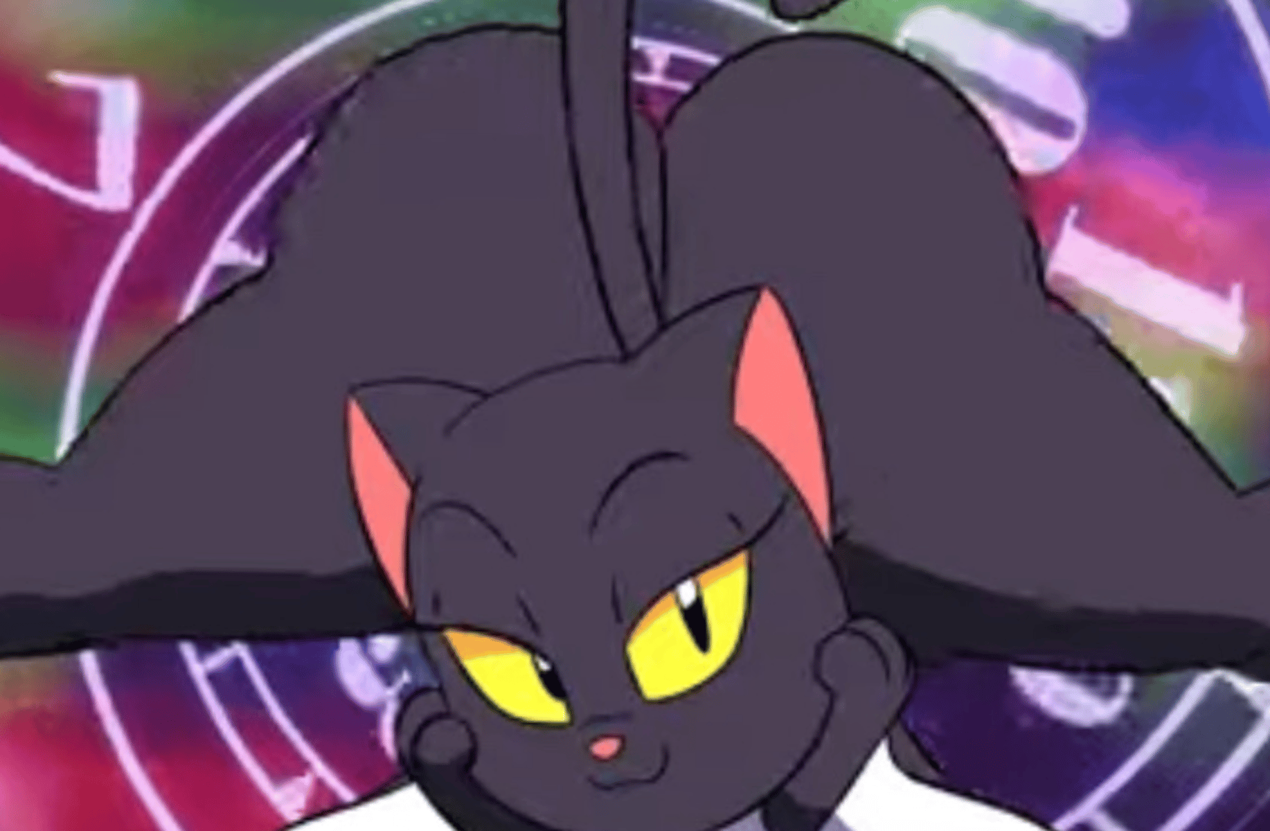 Kitty
