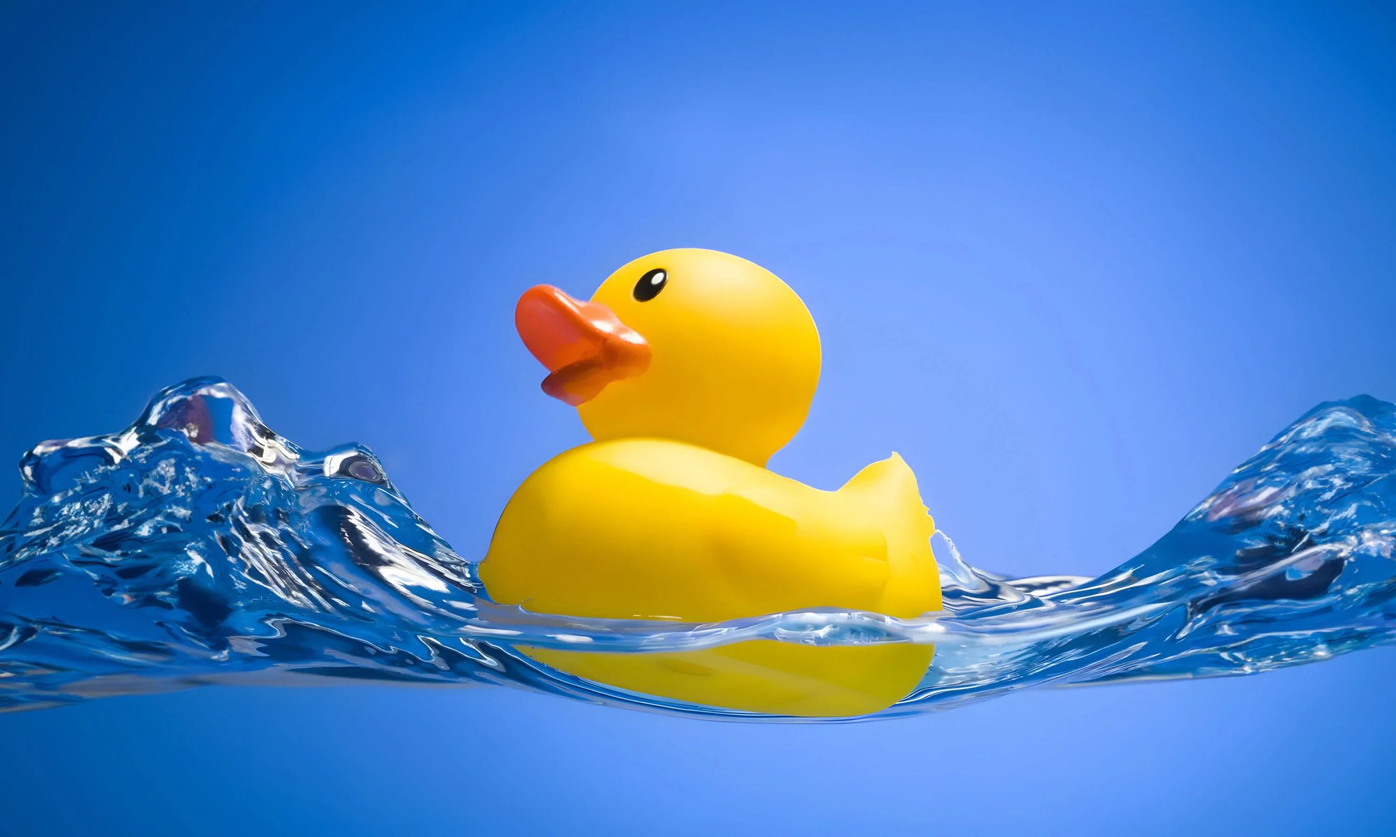 Rubber Duck (Original)