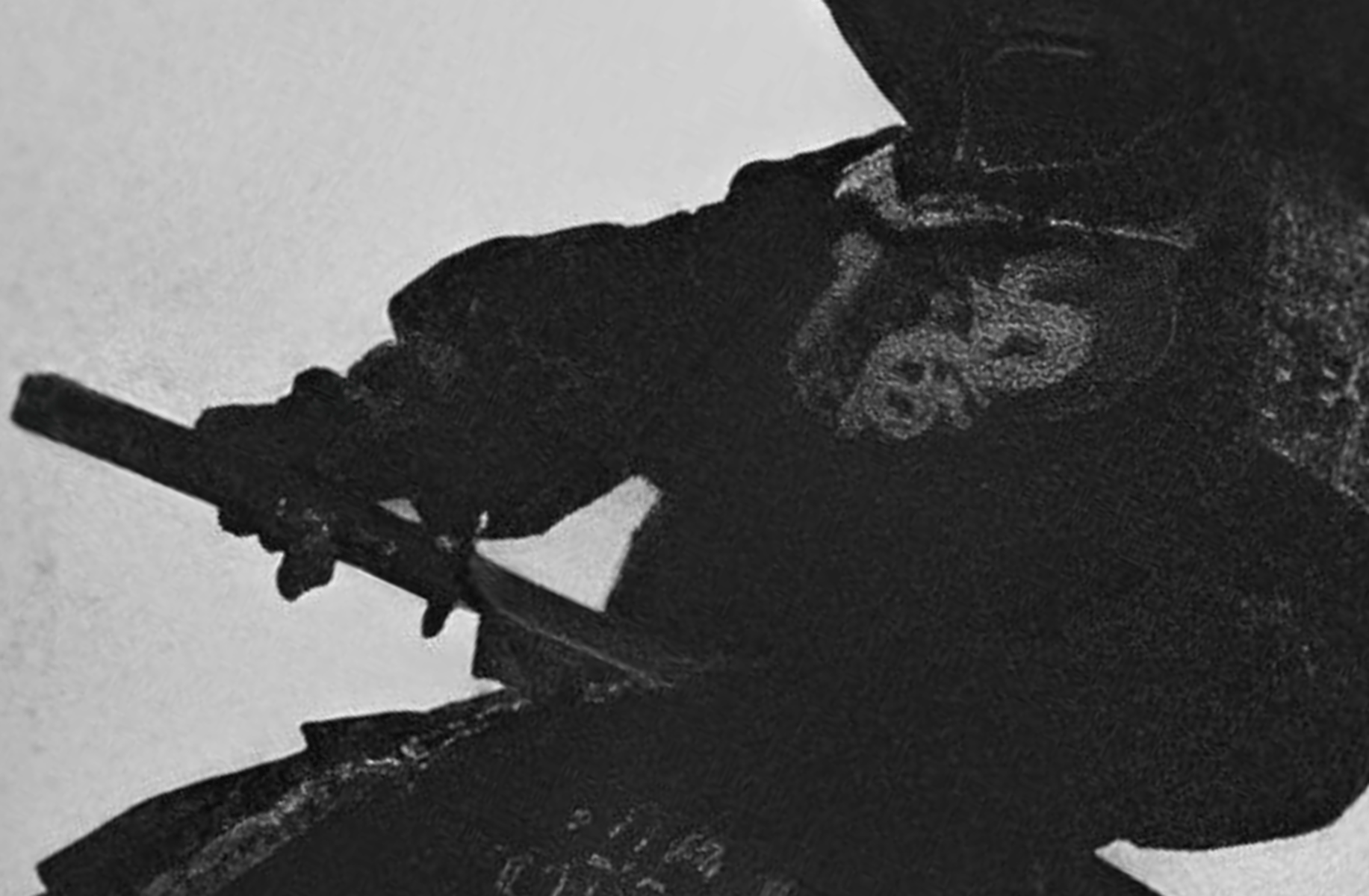 Samurai (but horney)