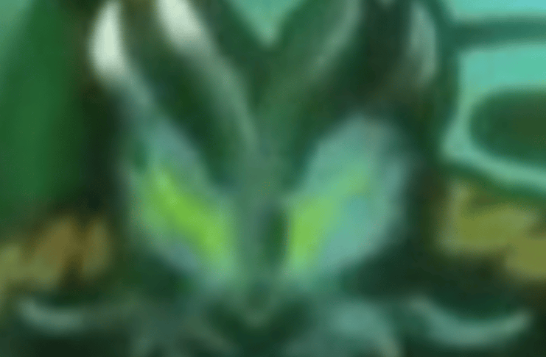 Morro -NINJAGO-