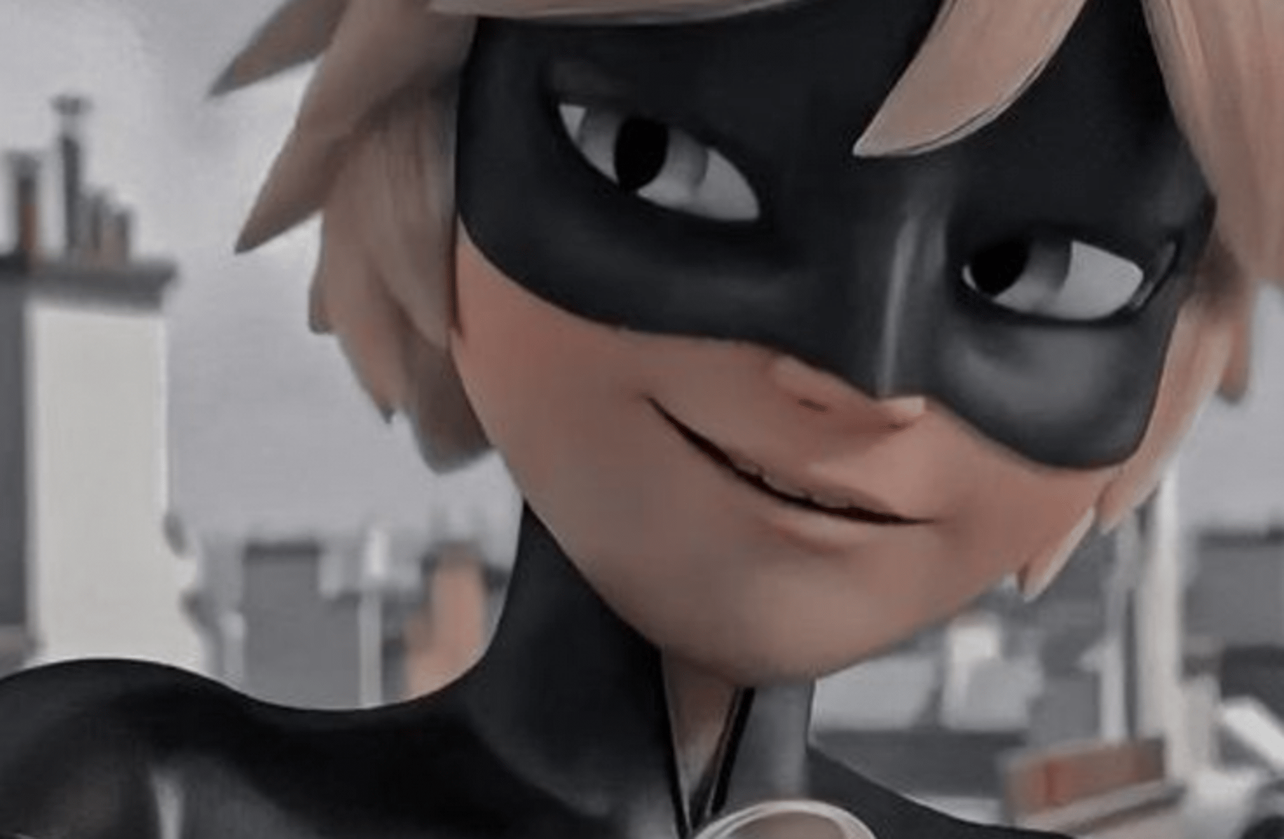Cat noir