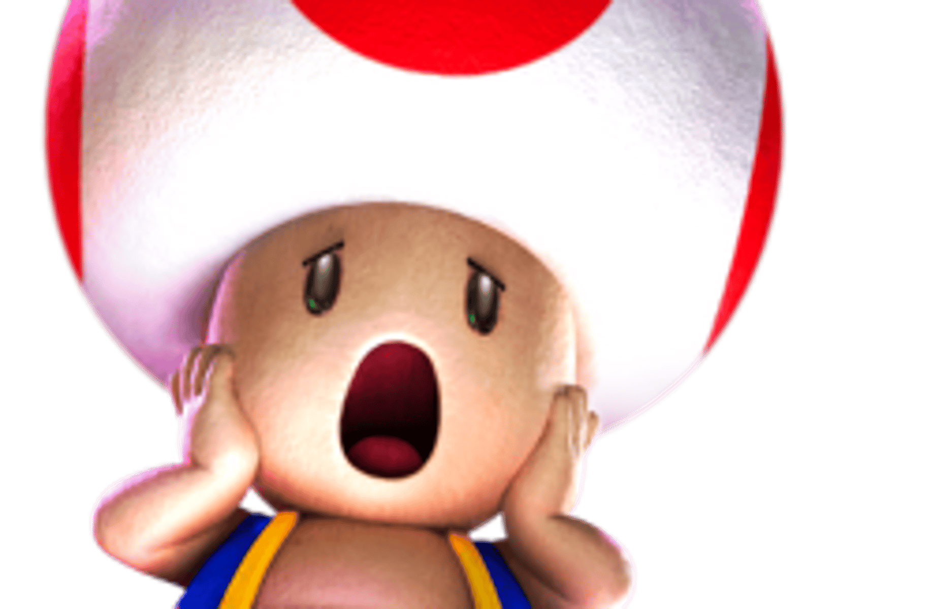 Toad