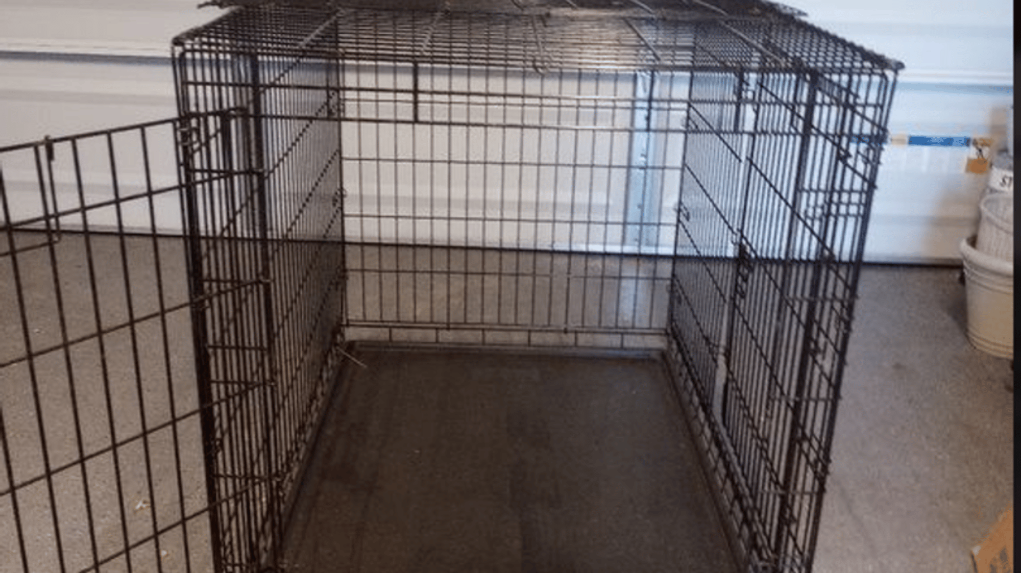 human pet zoo