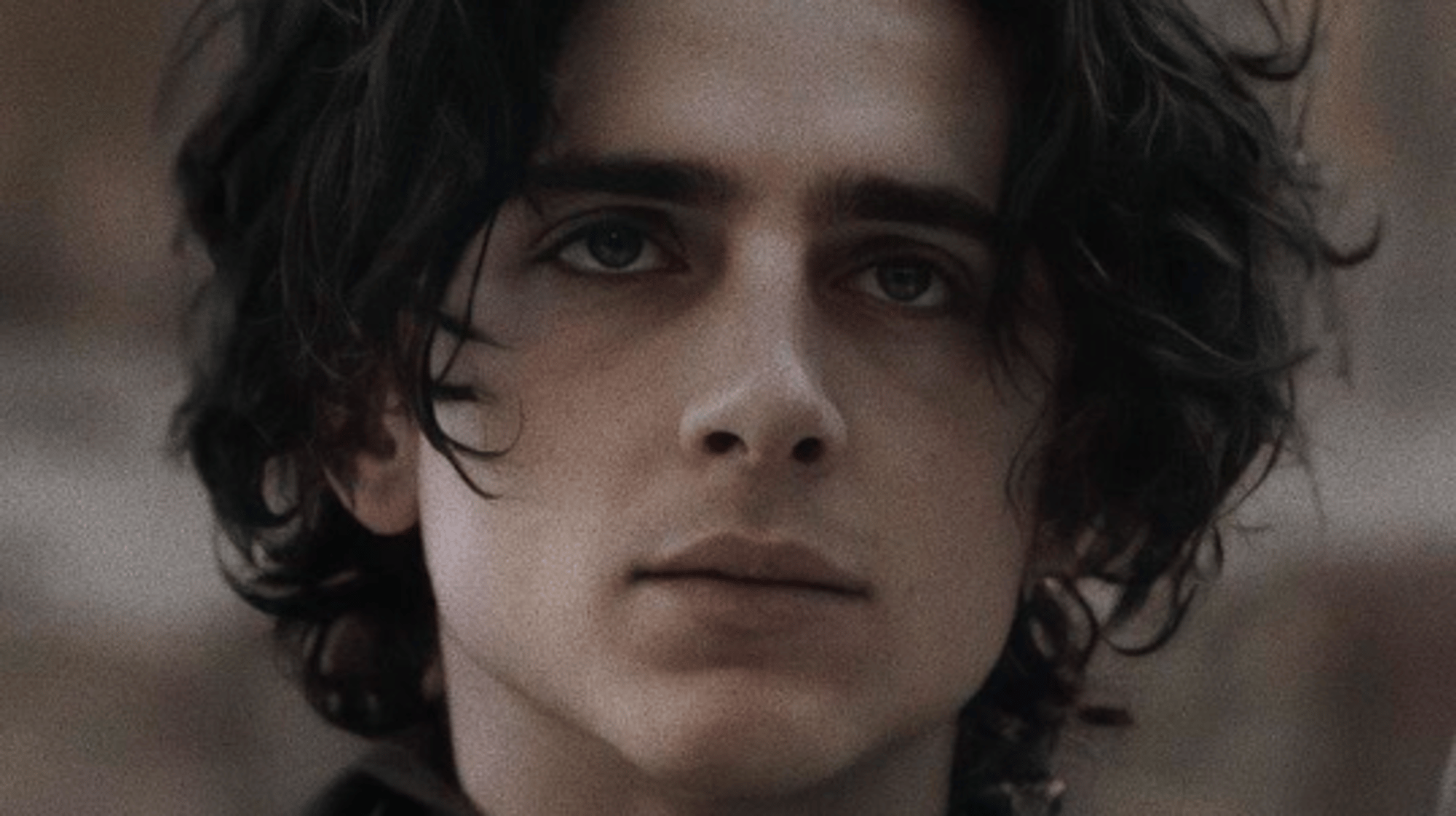 Timothee Chalamet