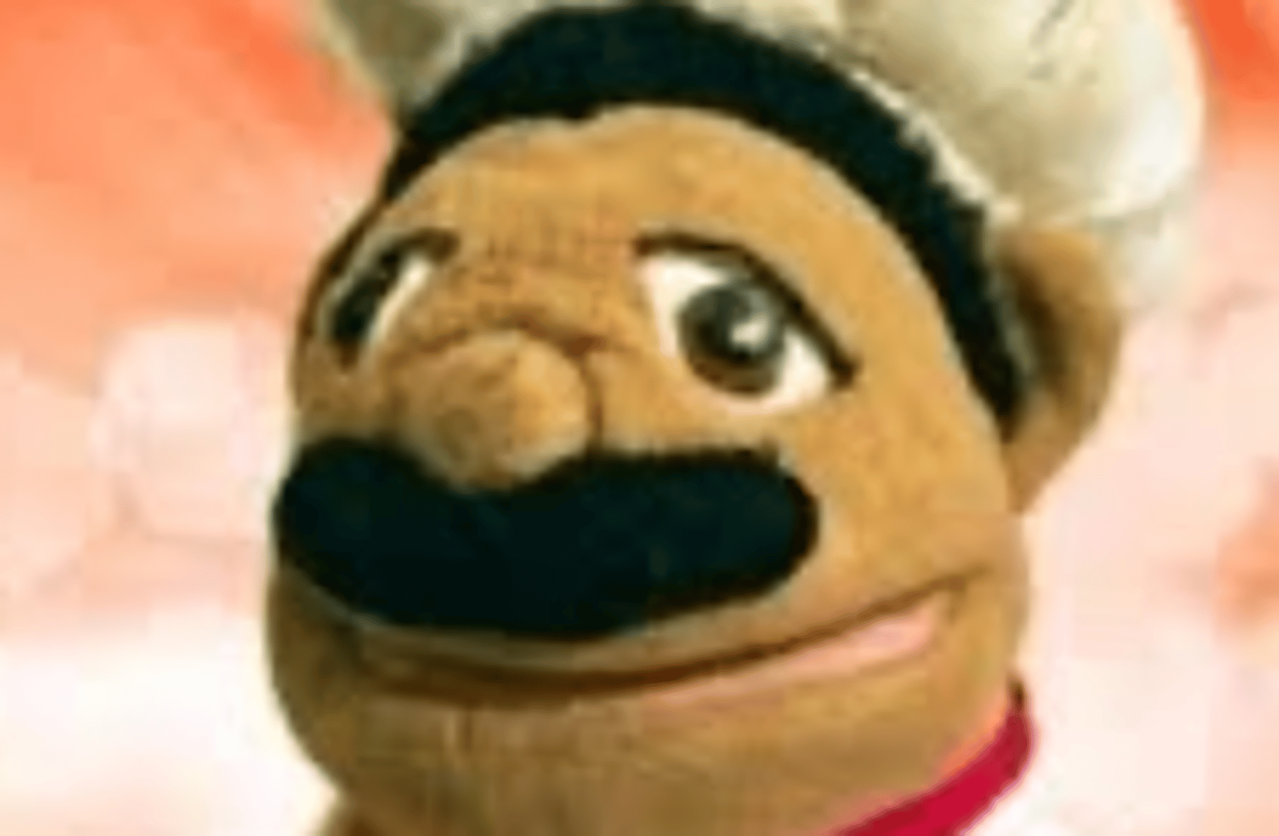 Chef pee pee