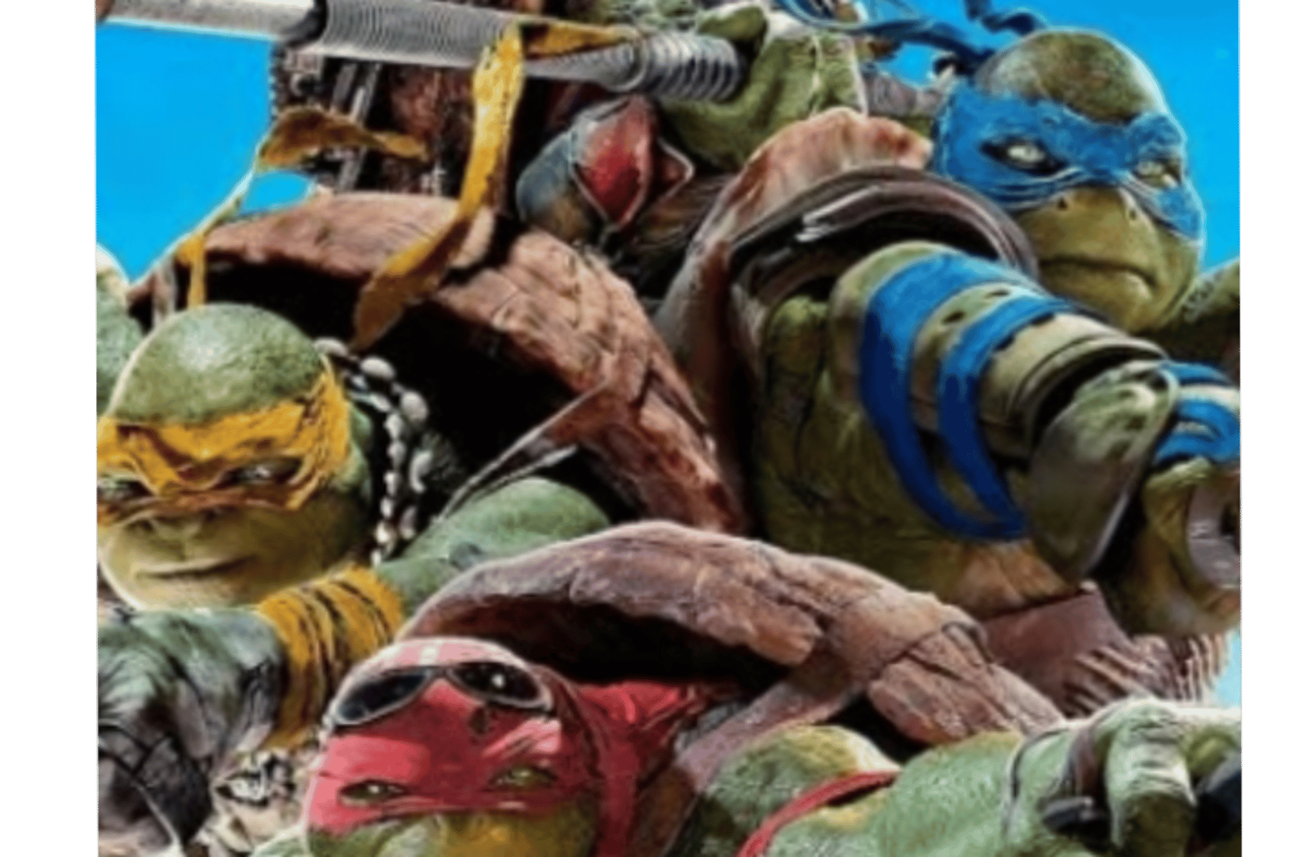 Raph,Leo,Donnie and mikey