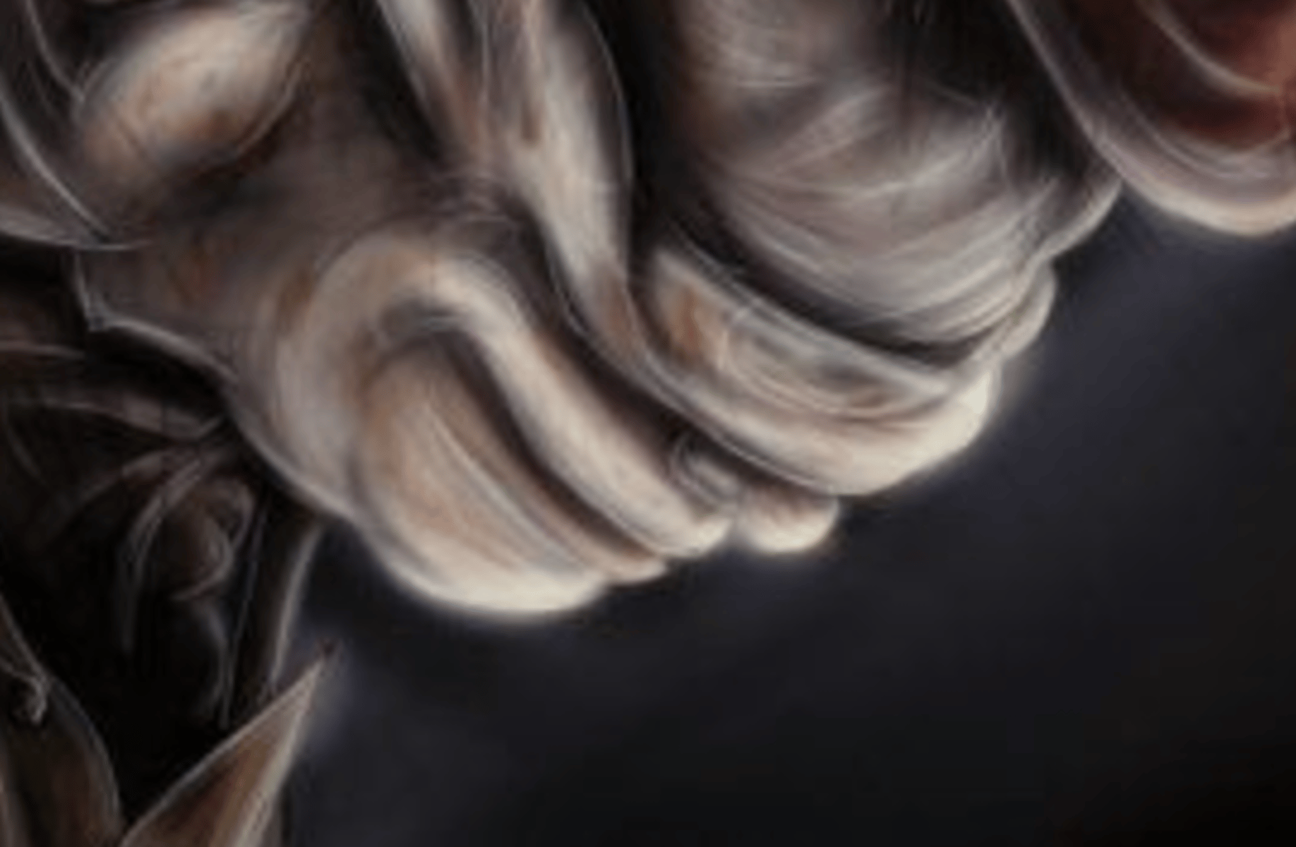 Il Custode