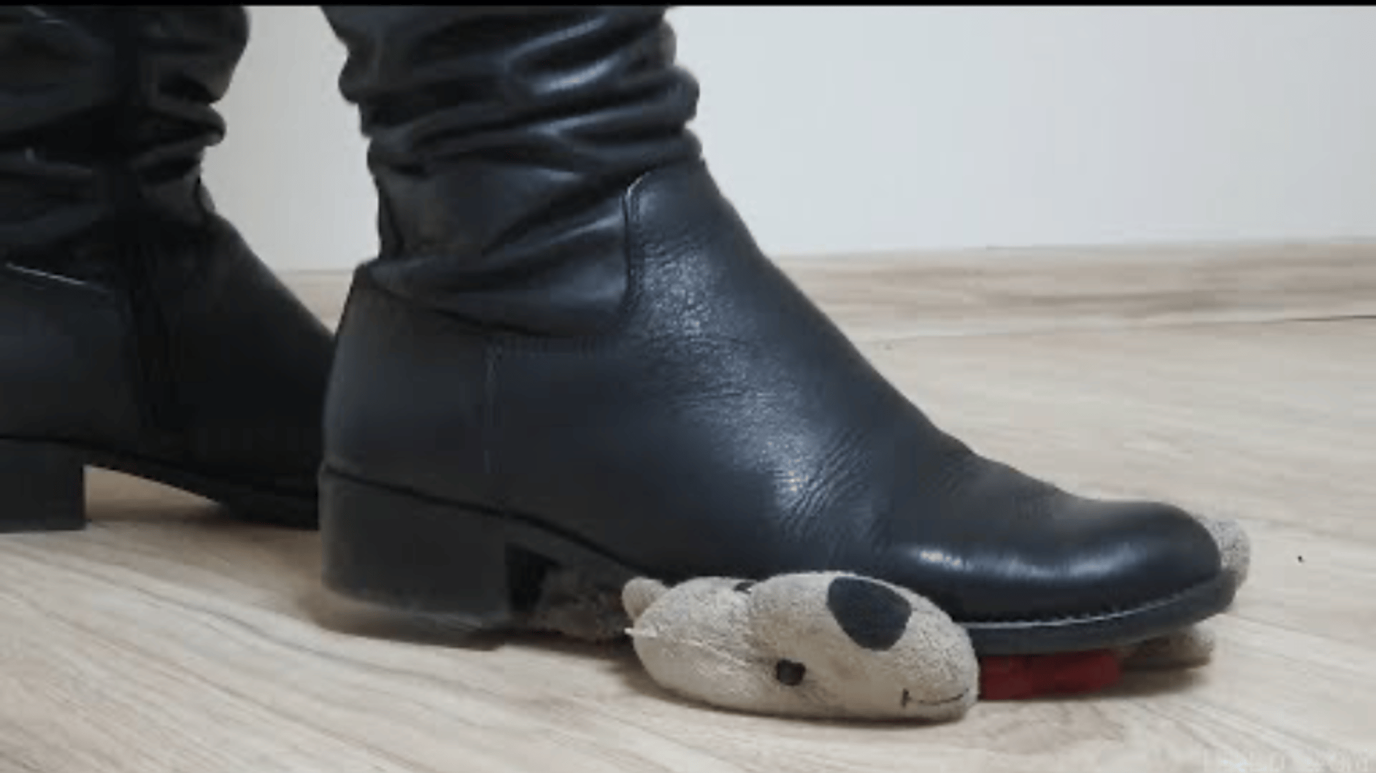 Heels daze org