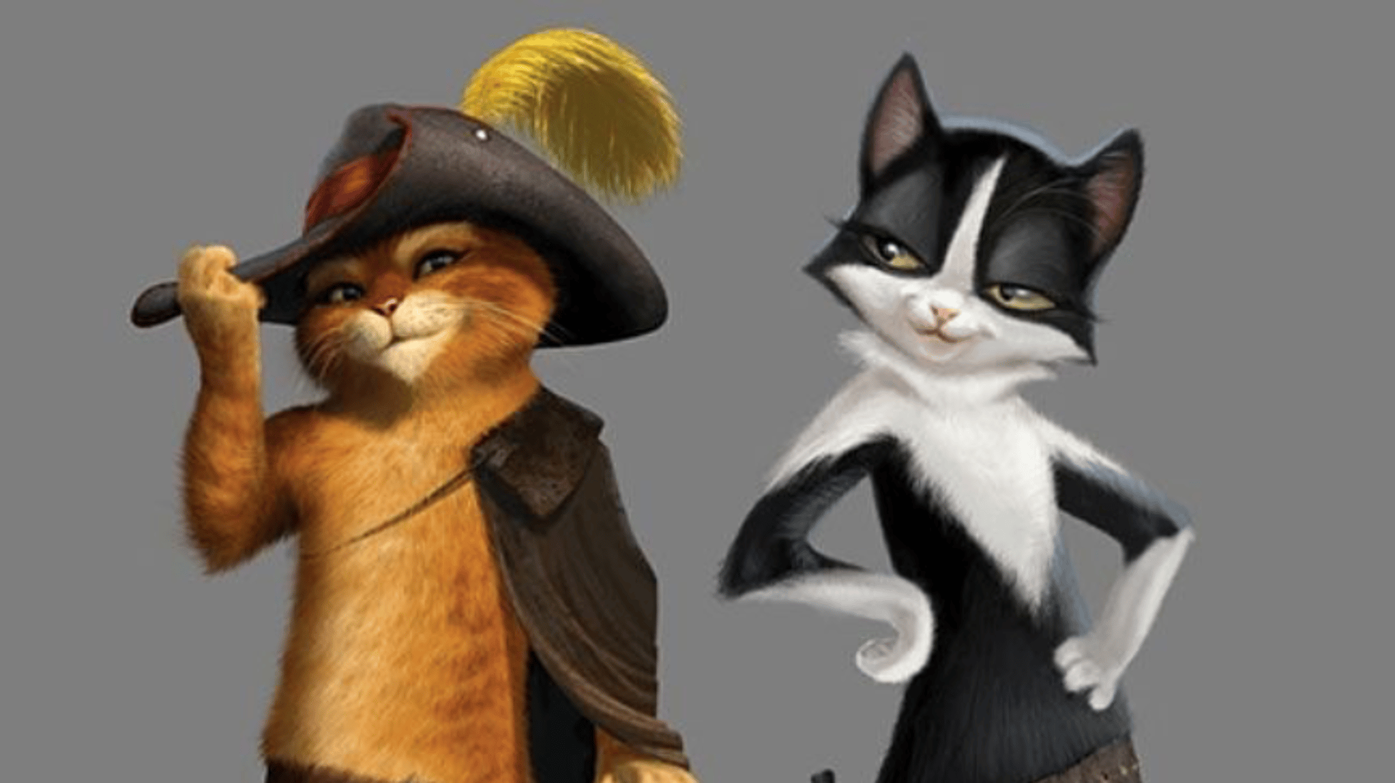 Cats in boots