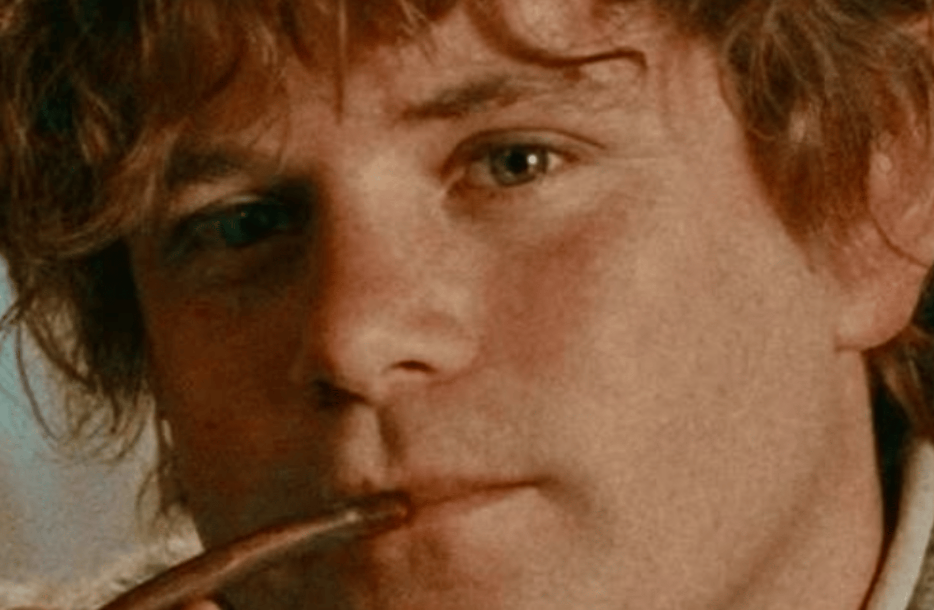 Lord of the rings party