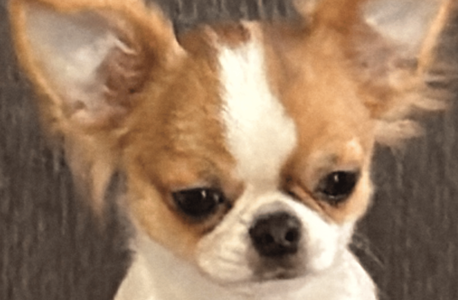 Lord benlala