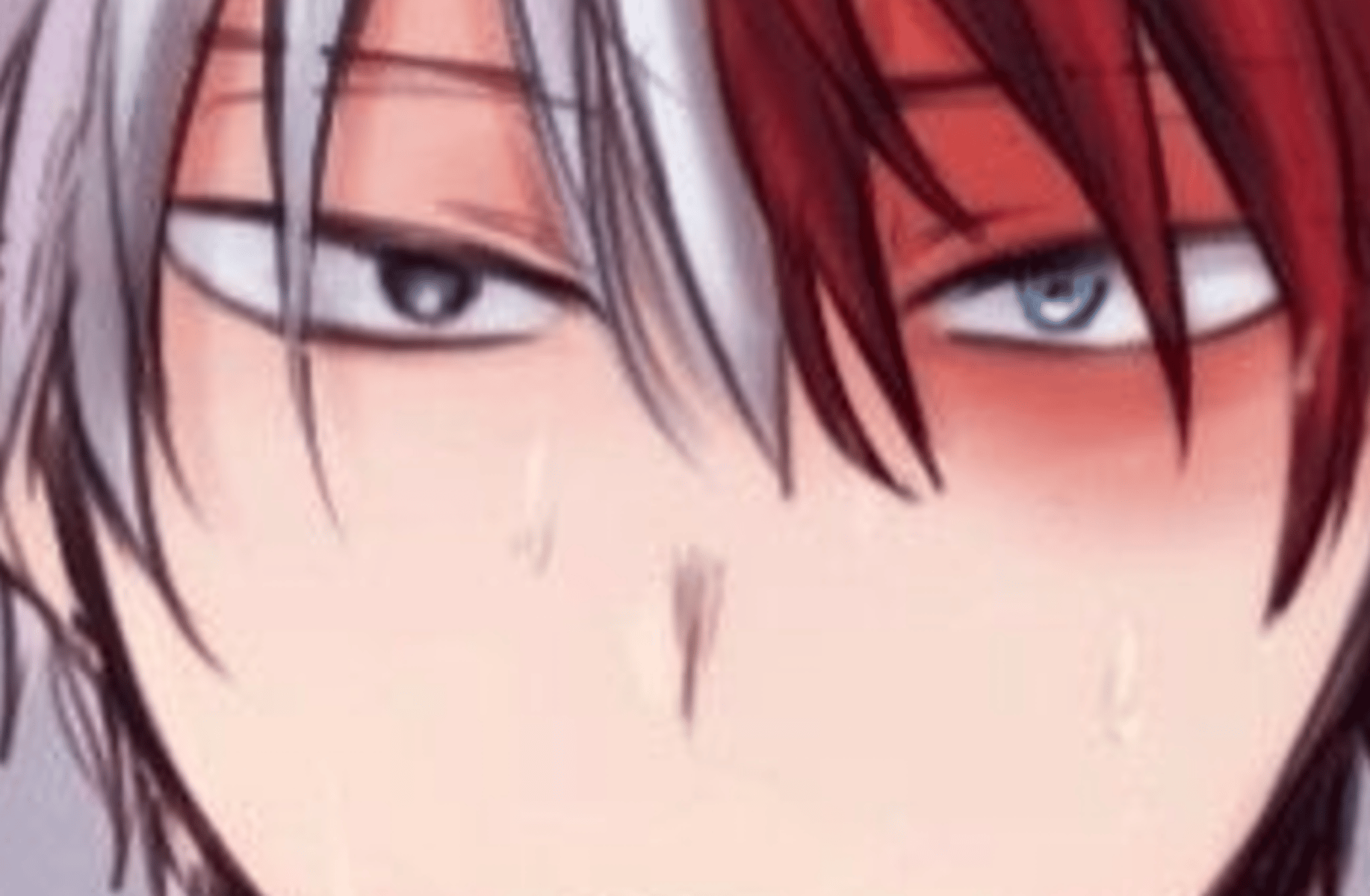 Shoto Todoroki